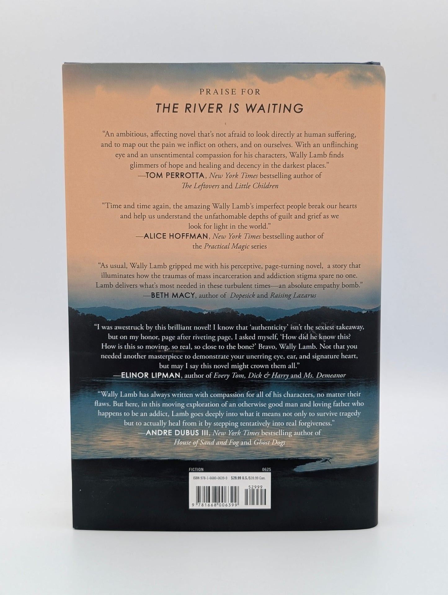 The River Is Waiting: A Novel