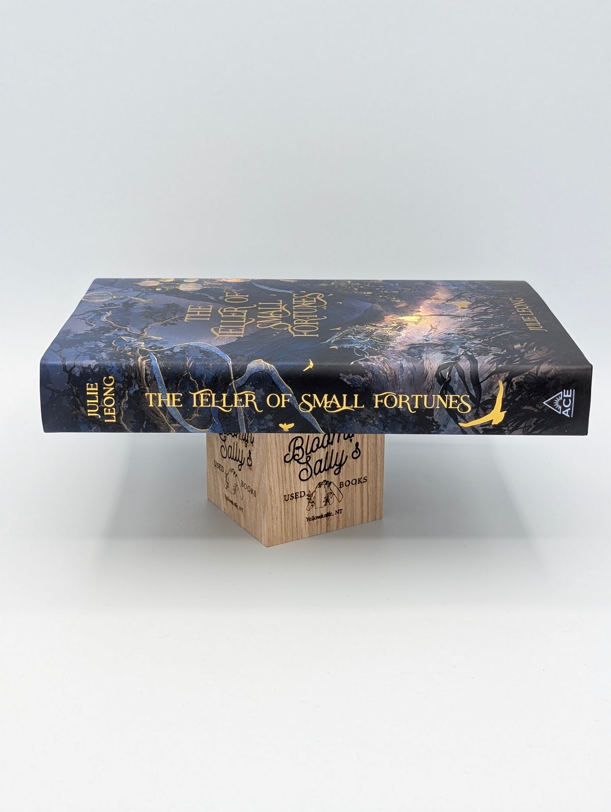 The Teller of Small Fortunes – OwlCrate SE; Fine