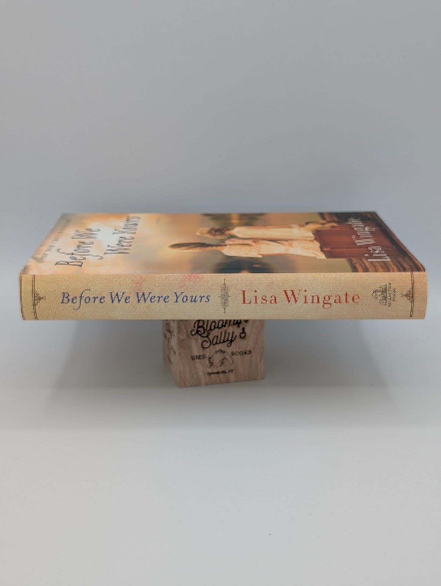 Before We Were Yours: A Novel