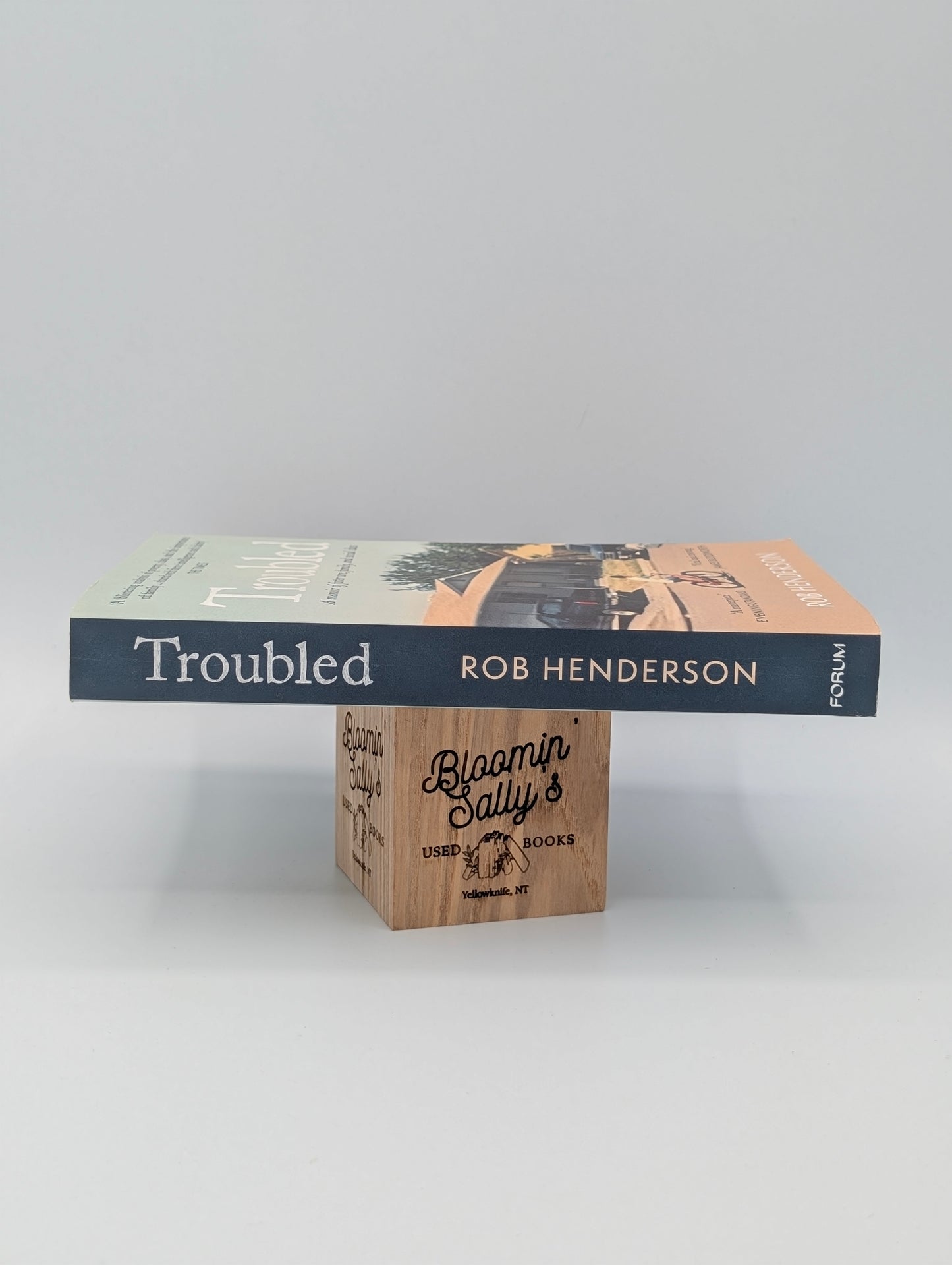 Troubled A Memoir of Foster Care, Family, and Social Class.