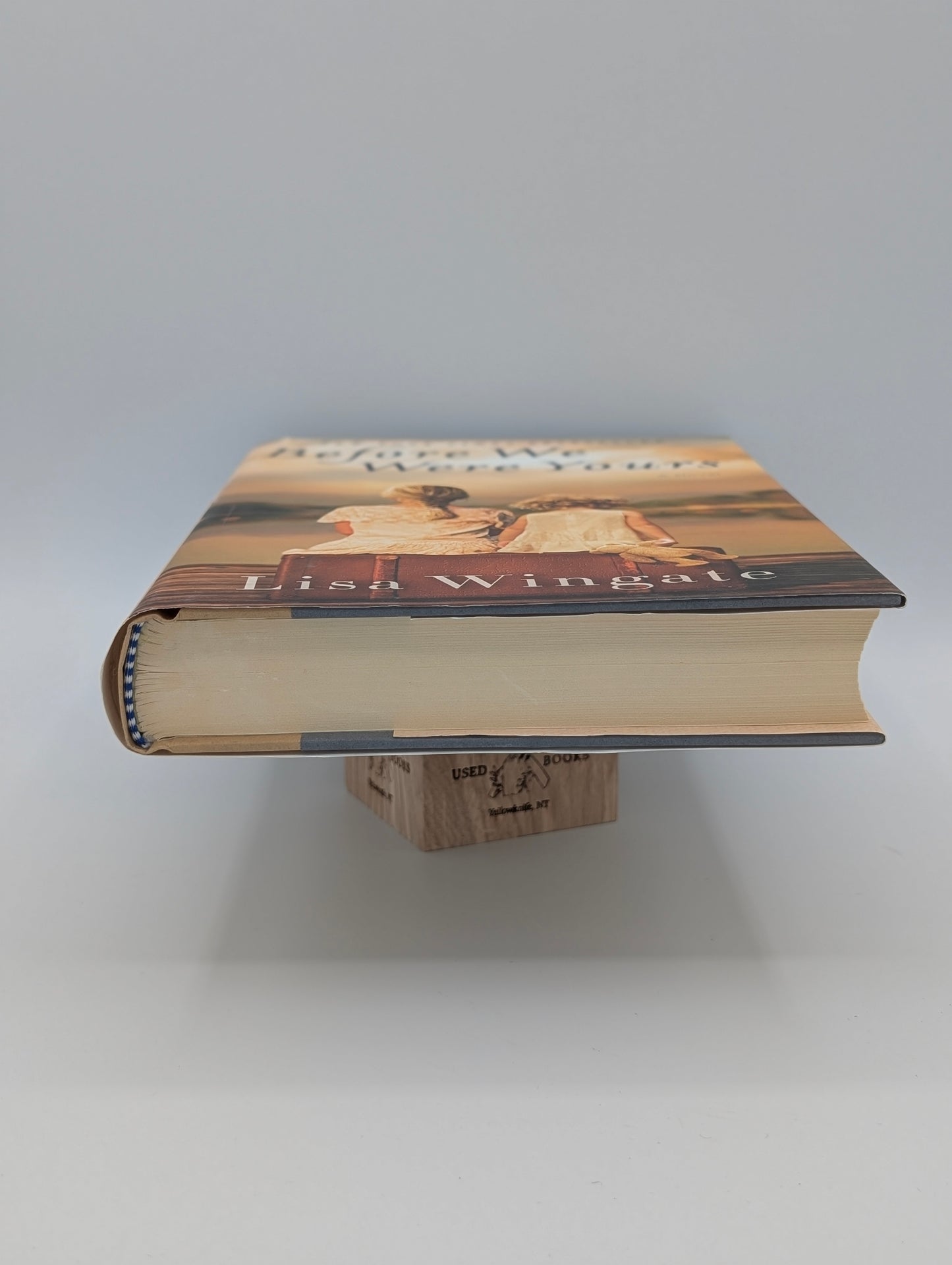 Before We Were Yours: A Novel