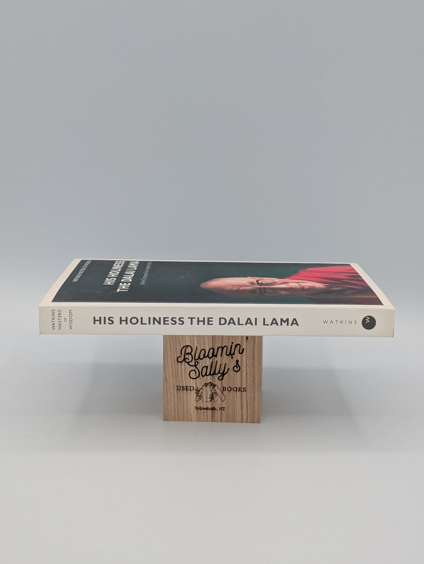 His Holiness the Dalai Lama: Infinite Compassion for an Imperfect World (Masters of Wisdom)