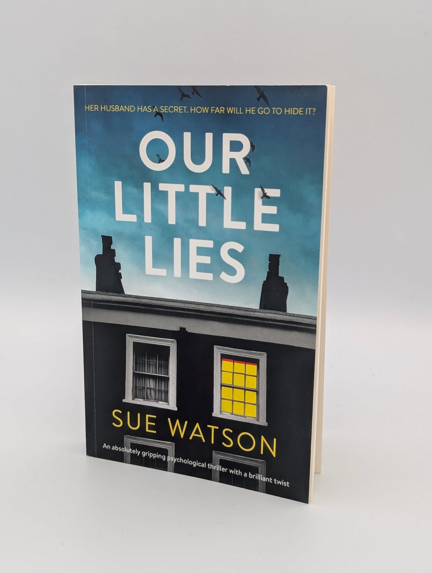 Our Little Lies: An absolutely gripping psychological thriller with a brilliant twist