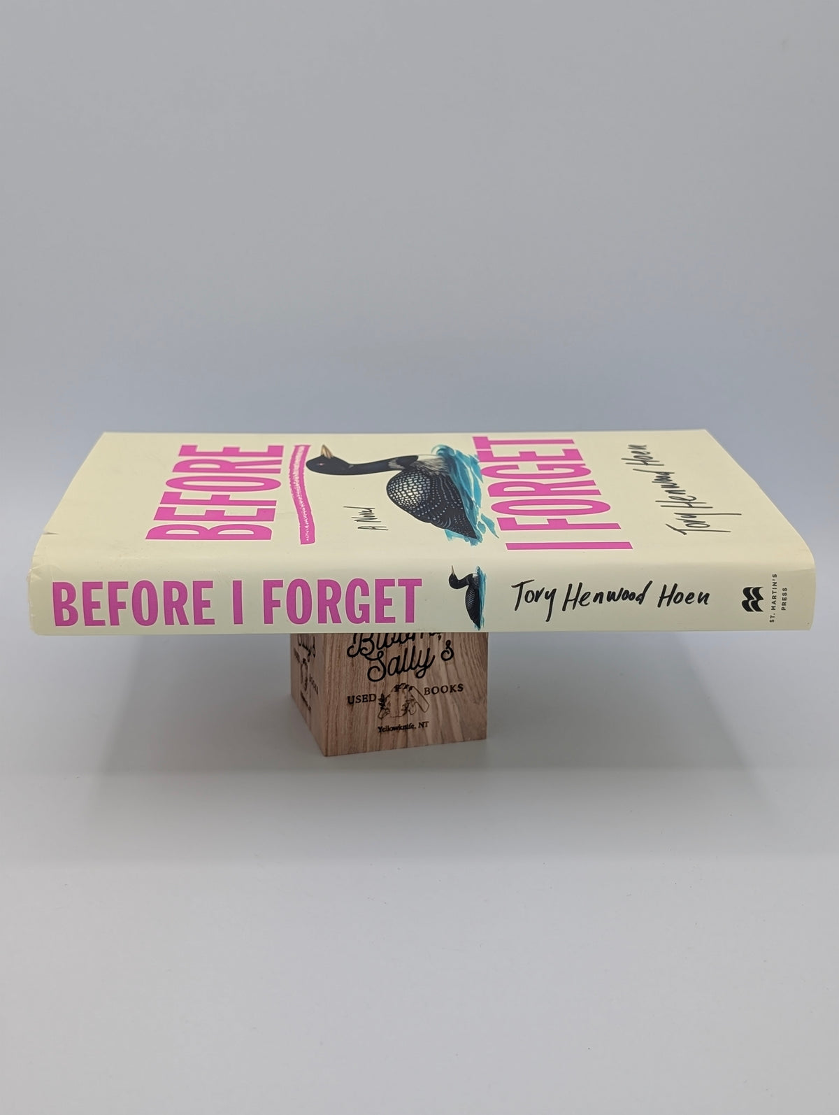 Before I Forget: A Novel
