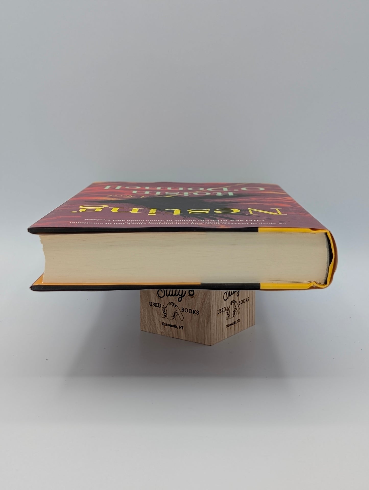 Nesting: A Novel