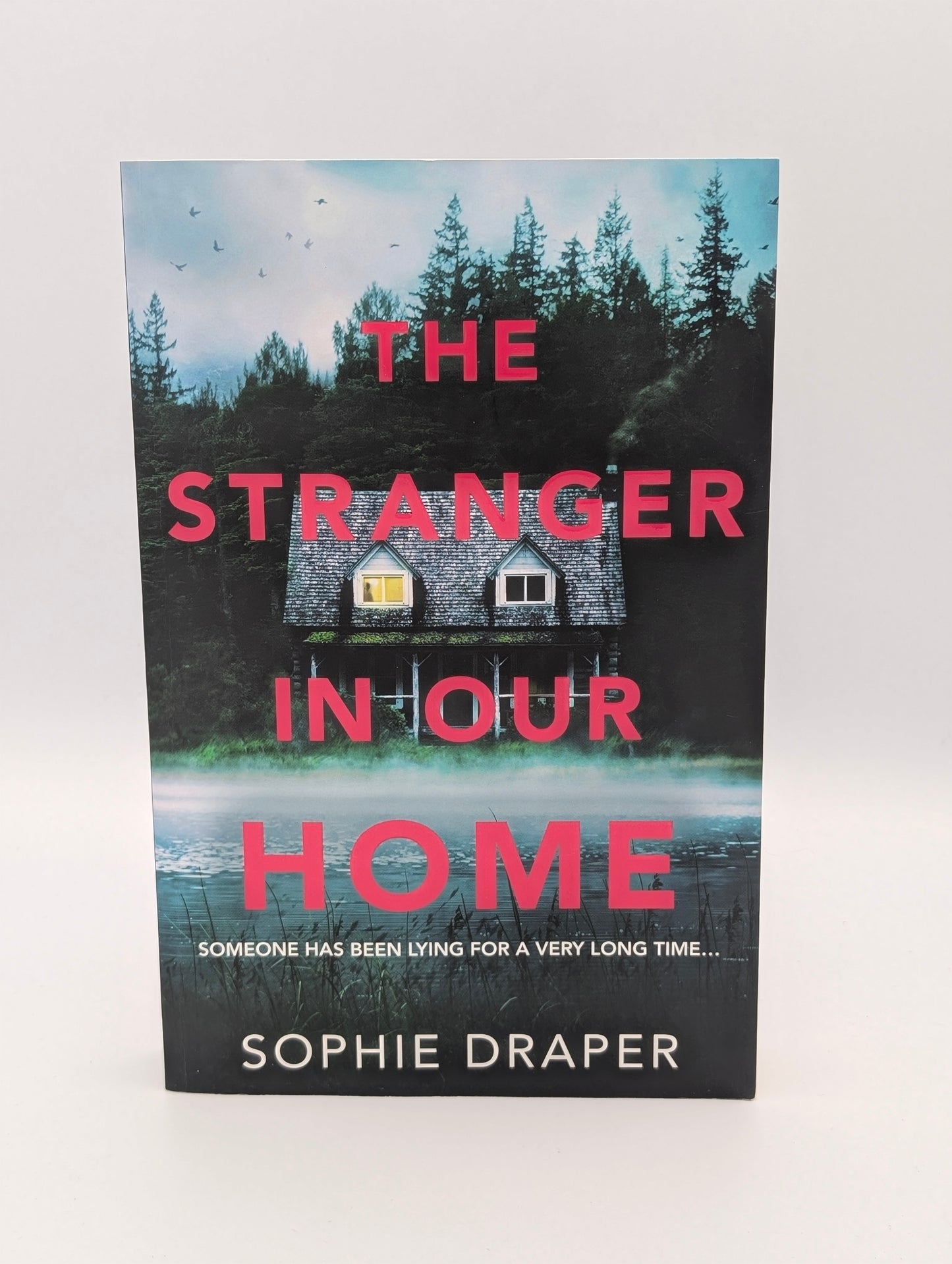 The Stranger In Our Home