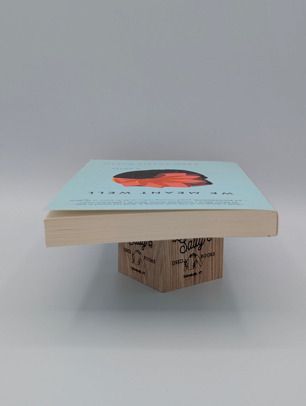 We Meant Well: A Novel
