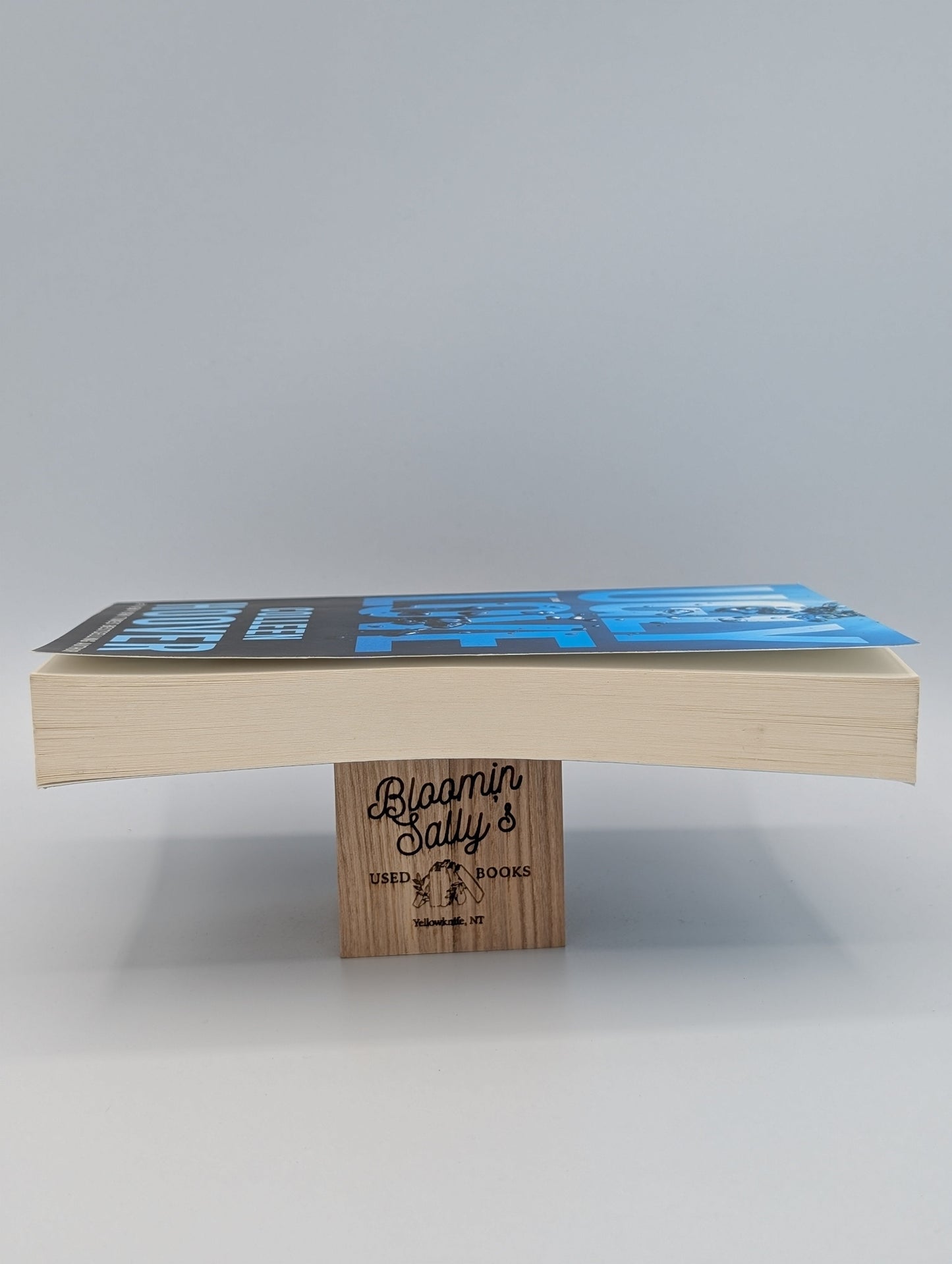 Ugly Love: A Novel