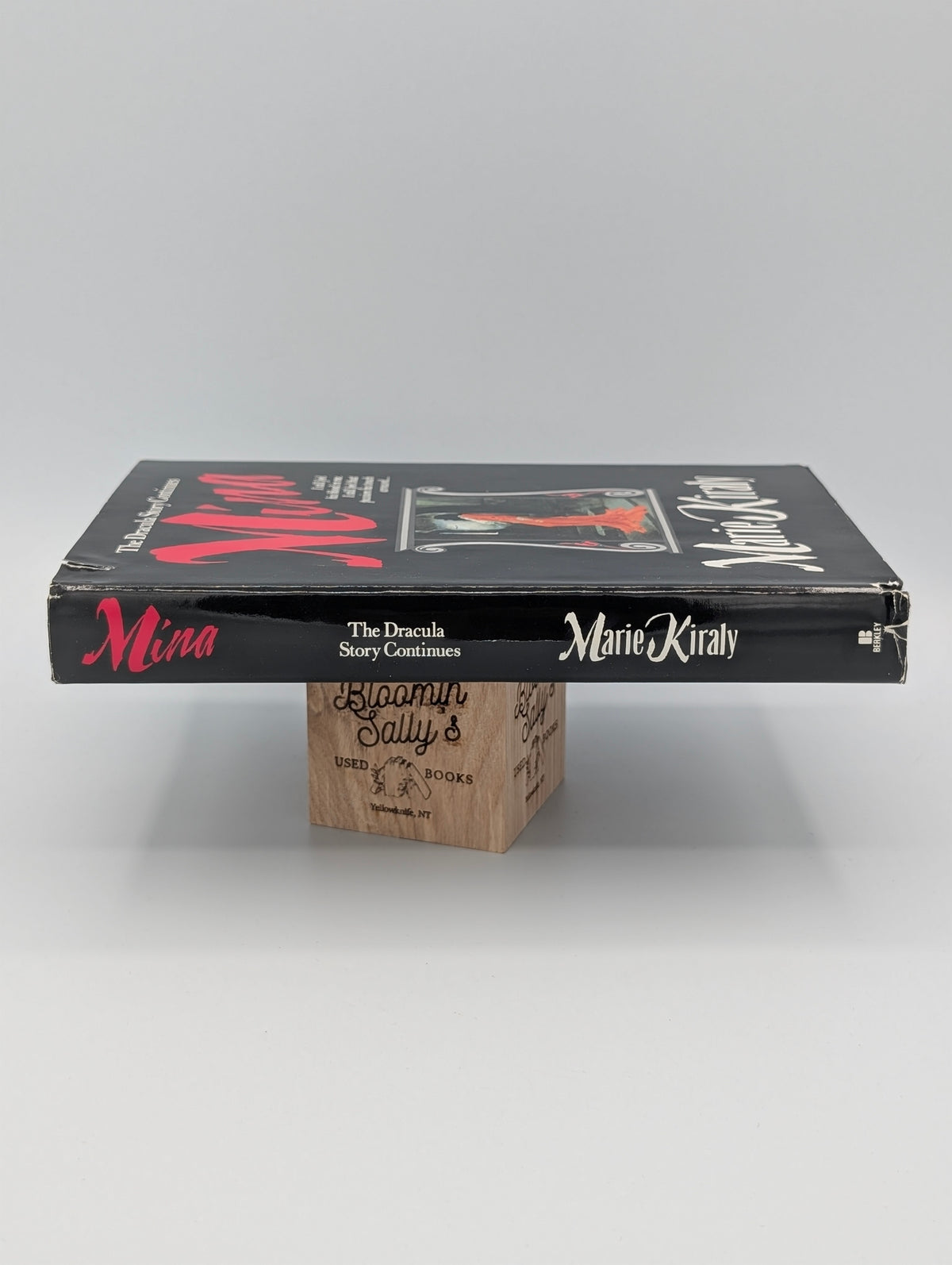 Mina: The Dracula Story Continues