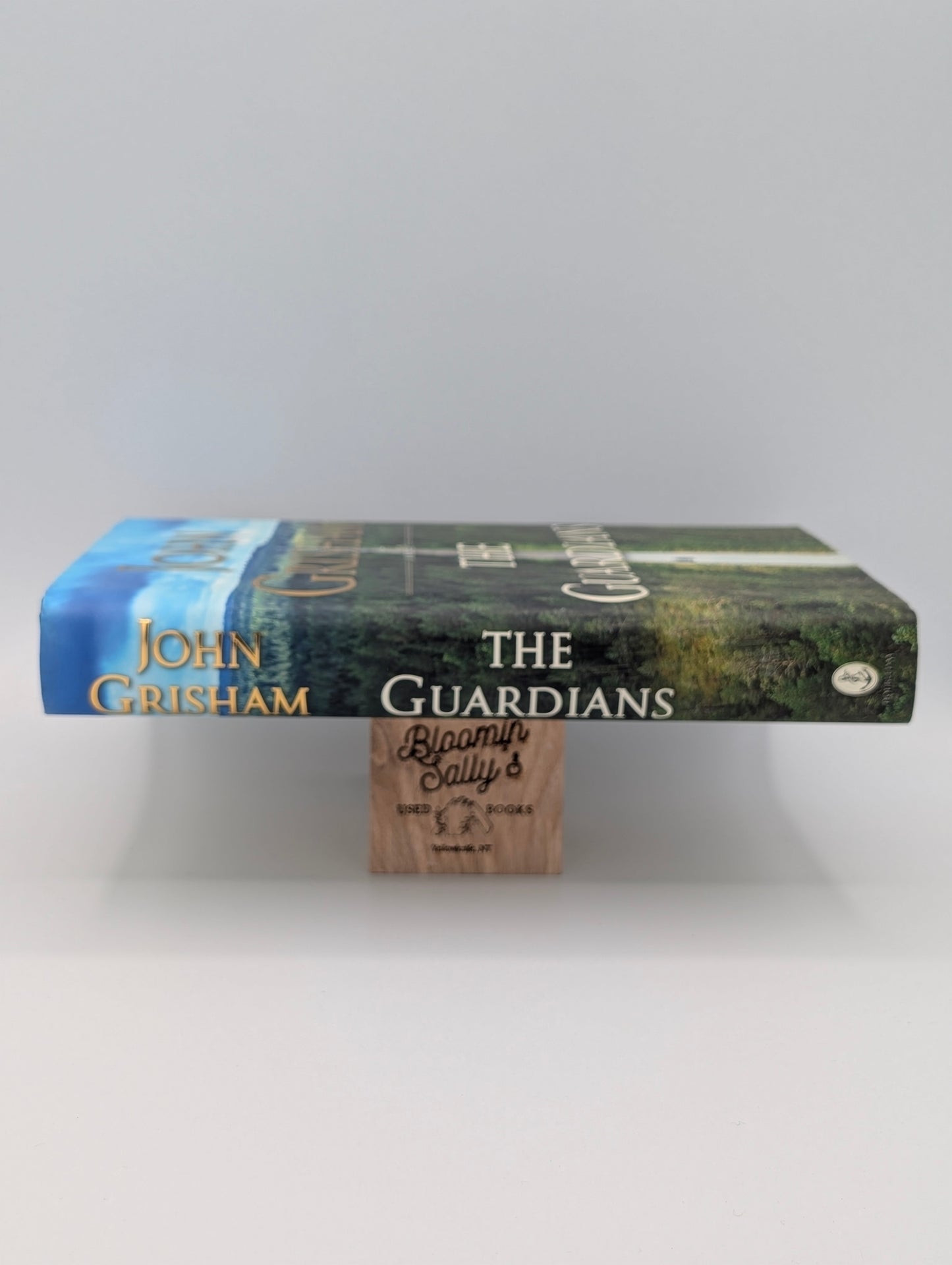 The Guardians: A Novel