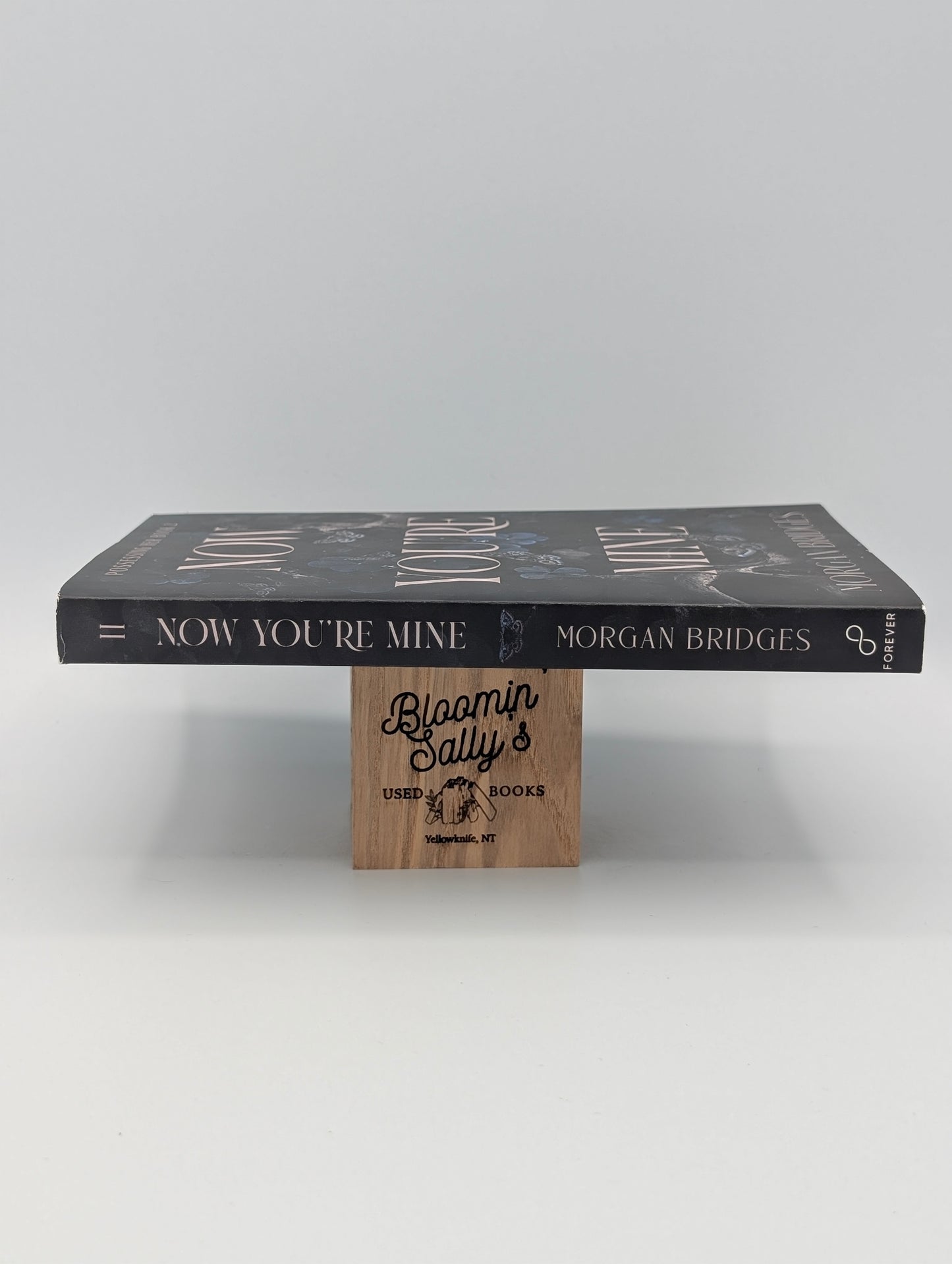 Now You're Mine: A Dark Stalker Romance
