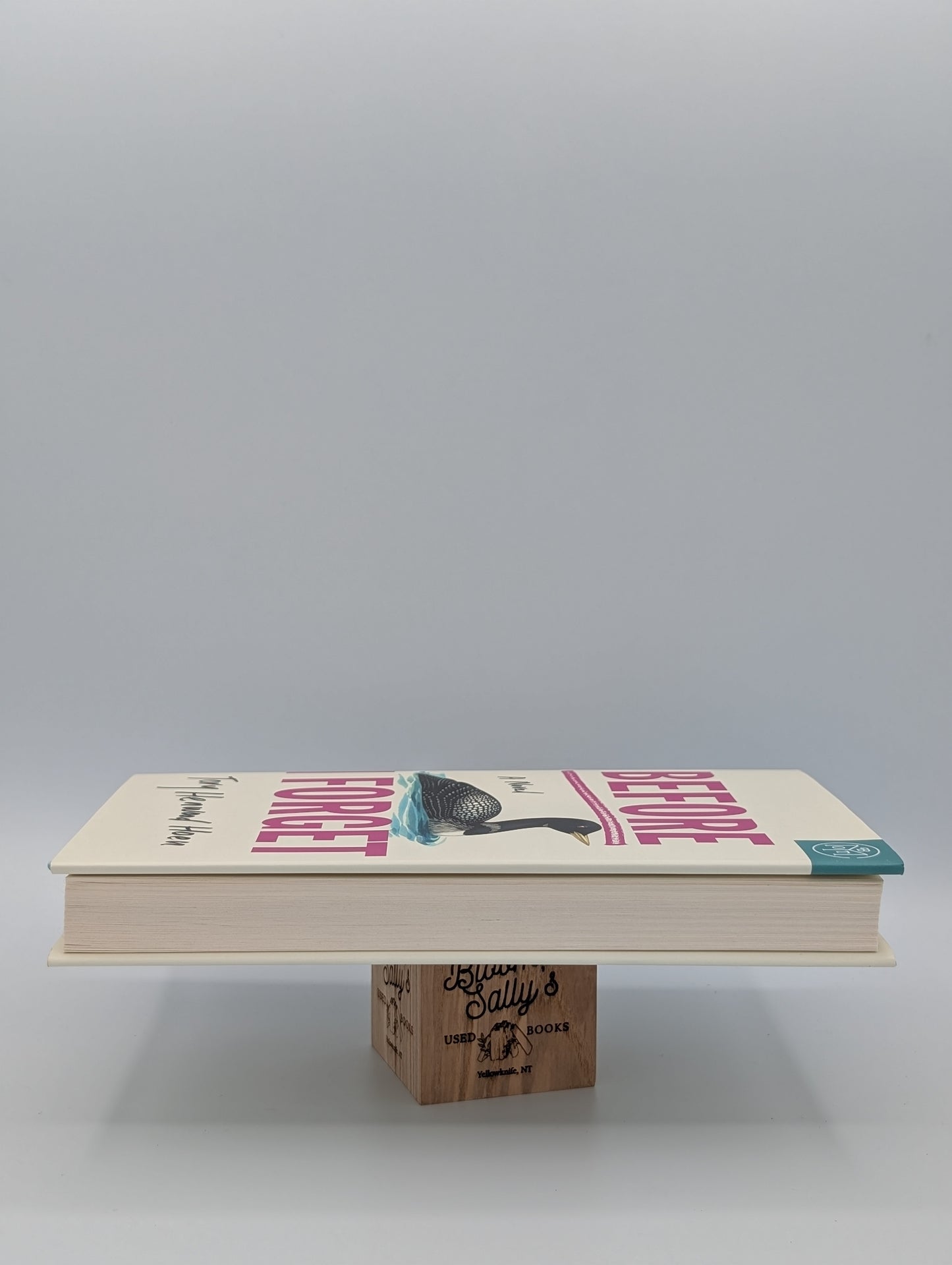 Before I Forget: A Novel (BOTM)