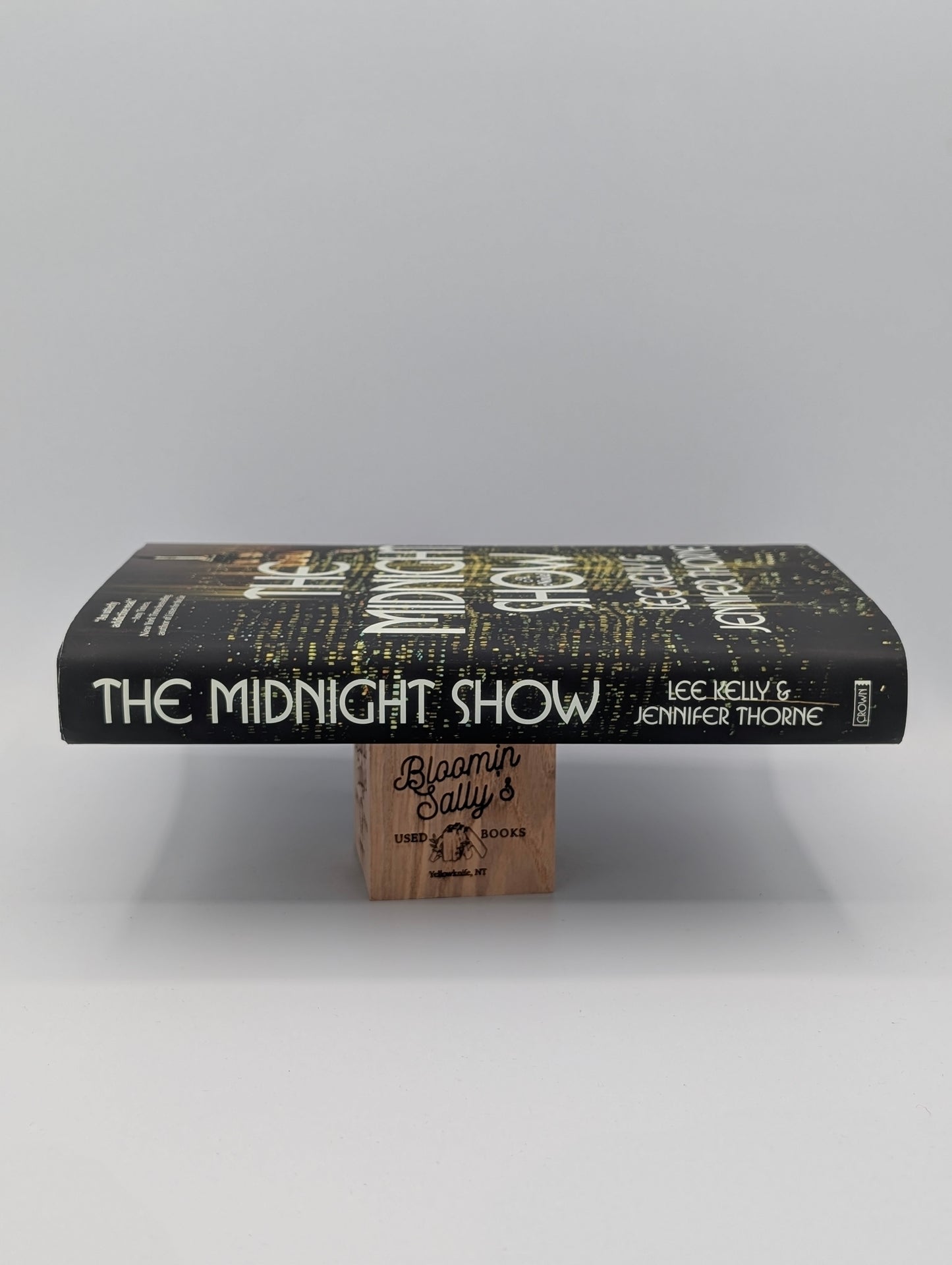 The Midnight Show: A Novel