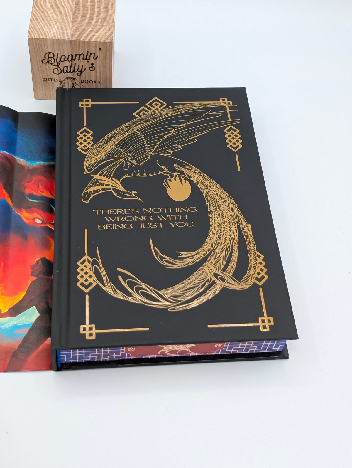 The Teller of Small Fortunes – OwlCrate SE; Fine