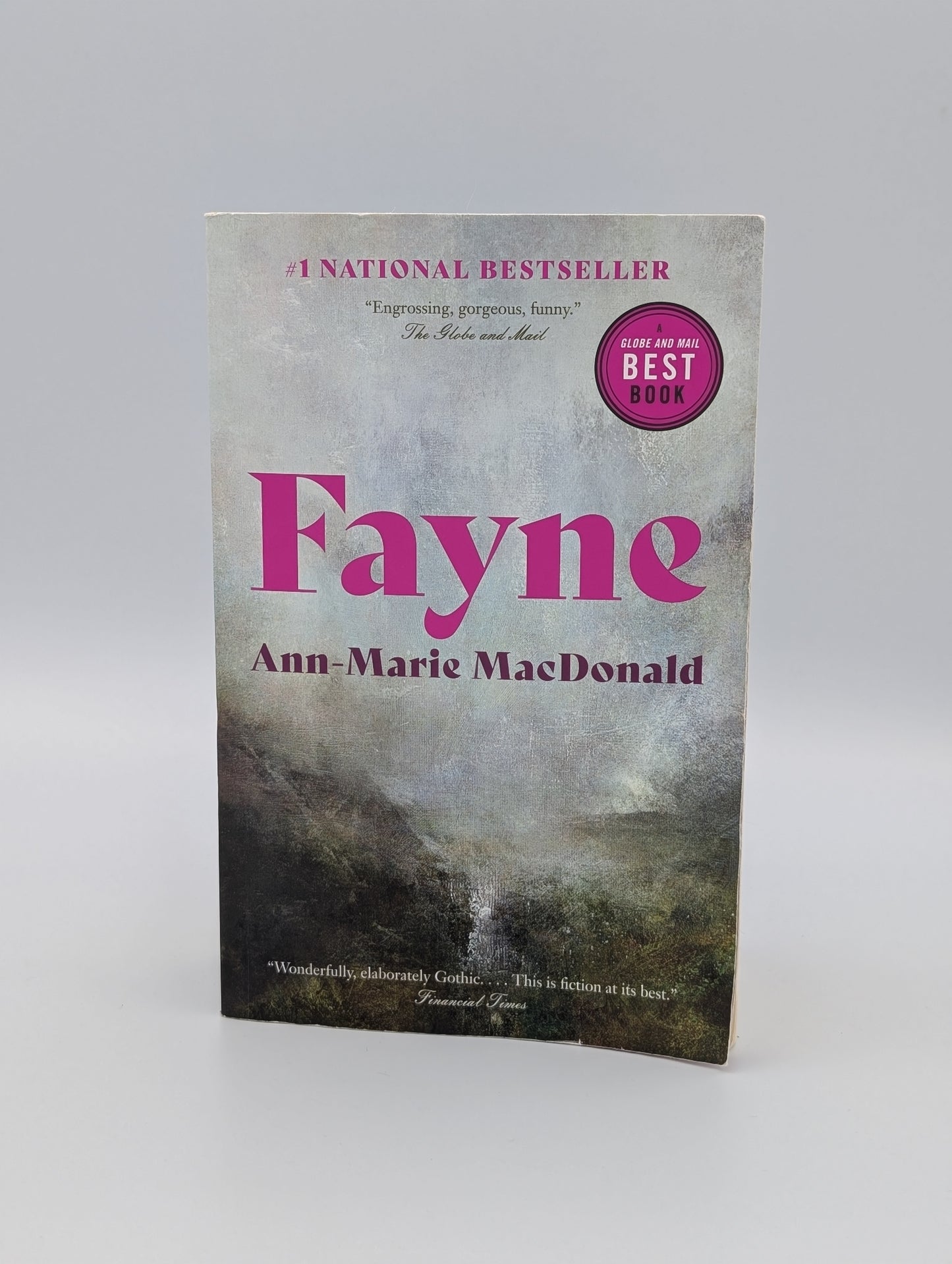 Fayne: A Novel