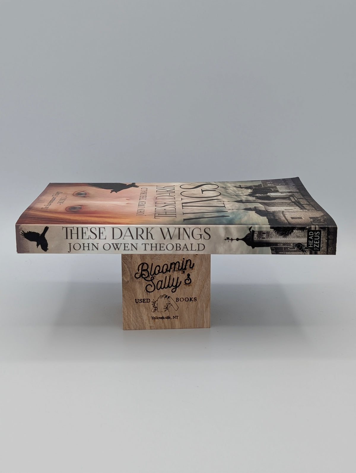 These Dark Wings (Ravenmaster Trilogy, 1)