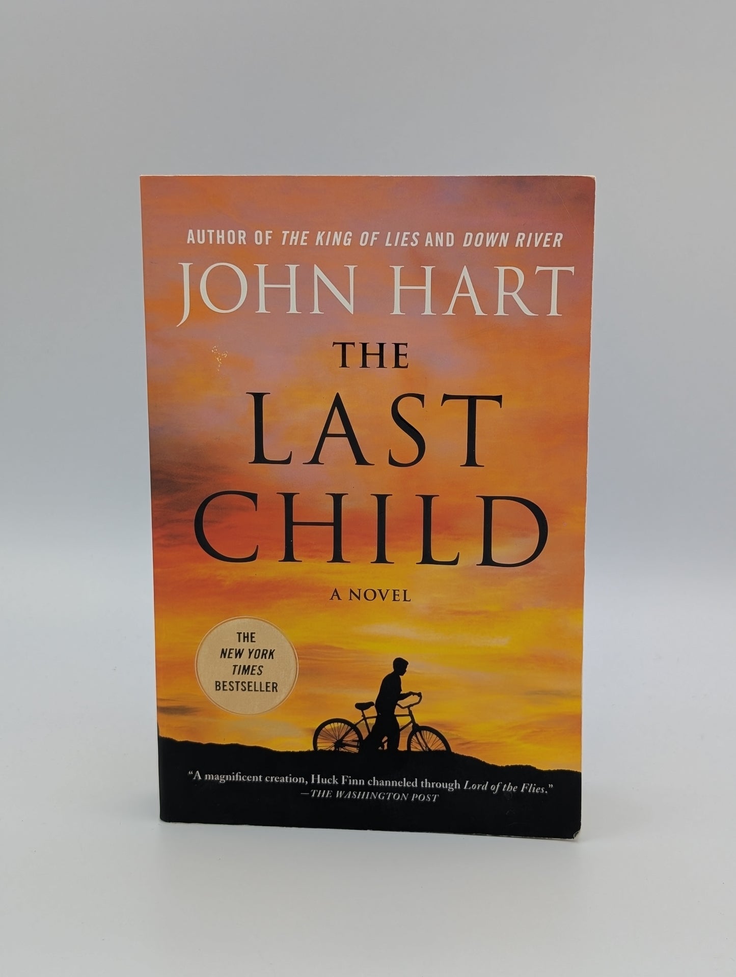 The Last Child: A Novel