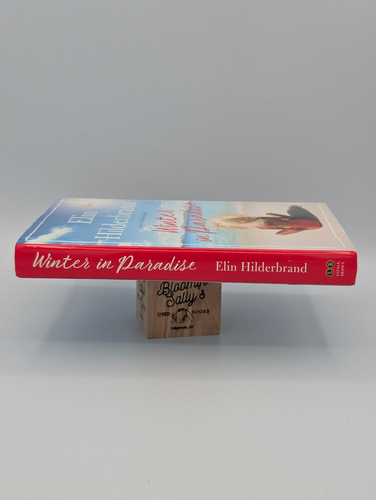 Hiver au paradis (Paradis, 1)