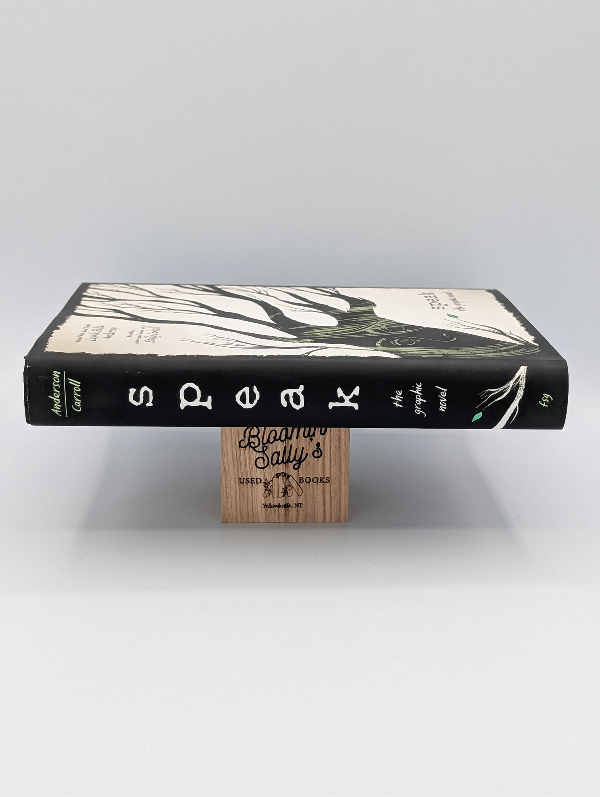 Speak: The Graphic Novel