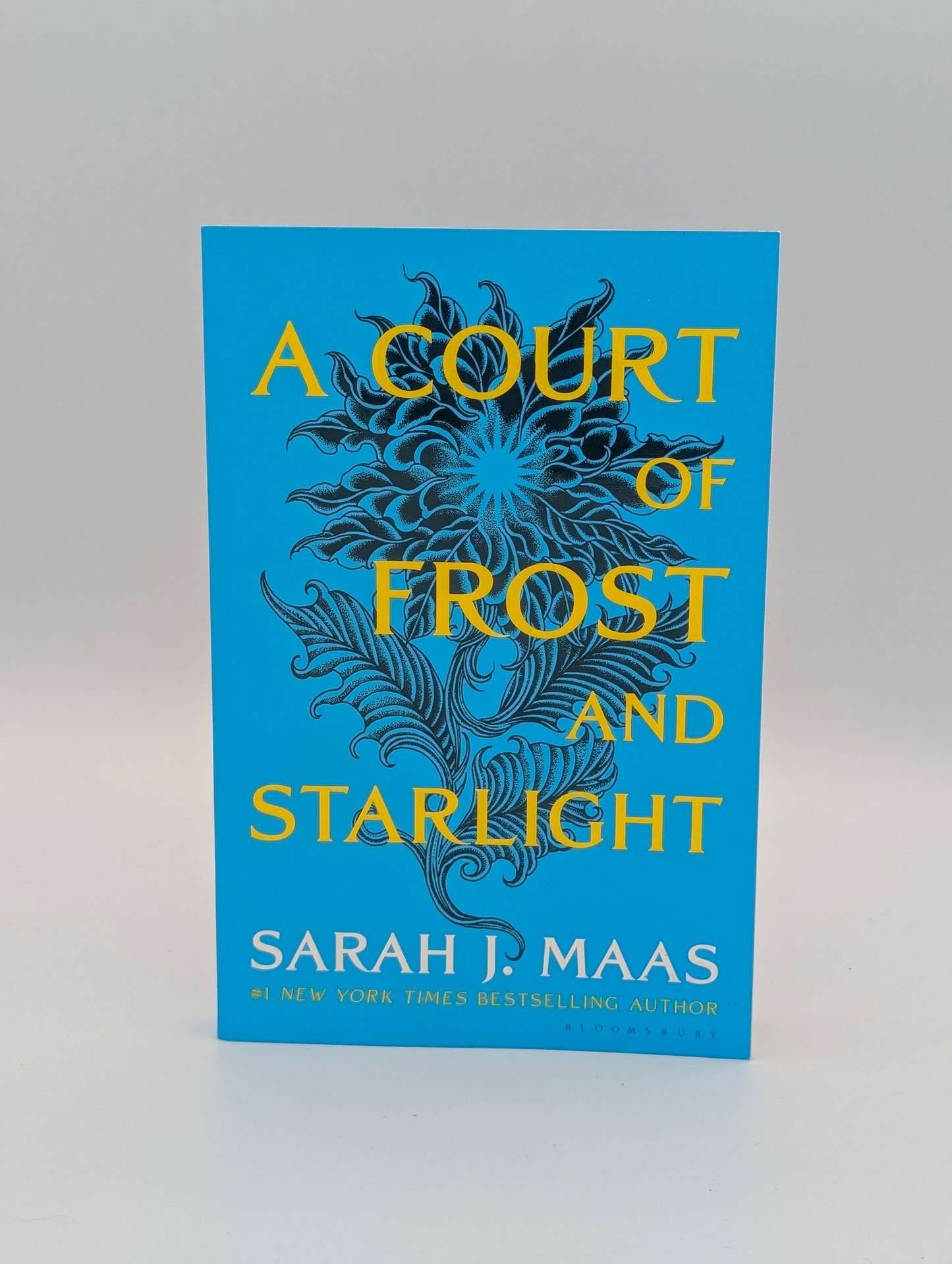 A Court of Frost and Starlight (A Court of Thorns and Roses, 4)