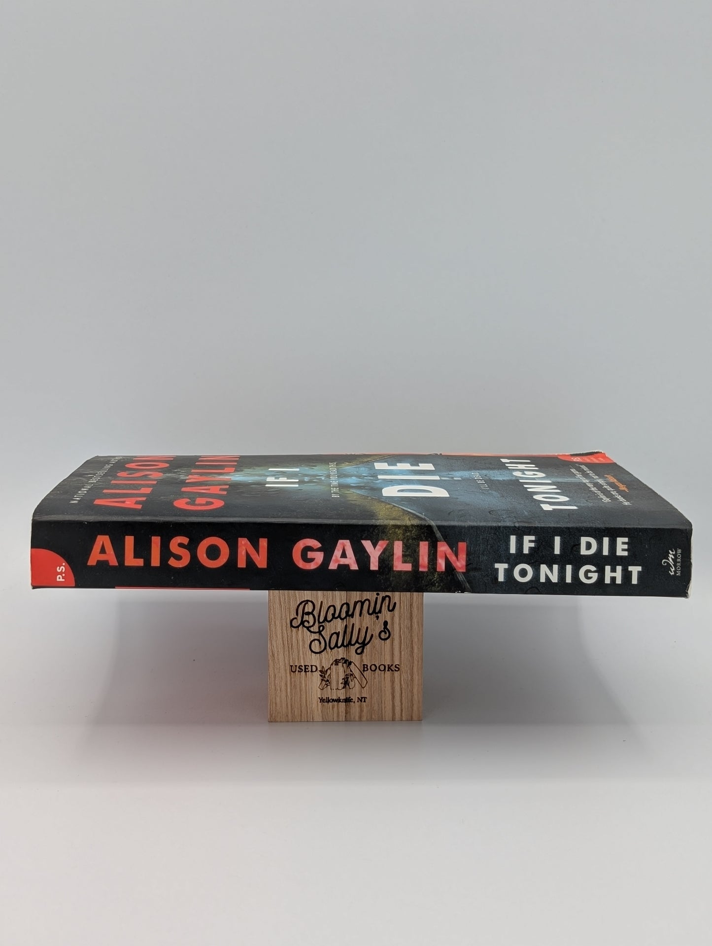 If I Die Tonight: A Novel