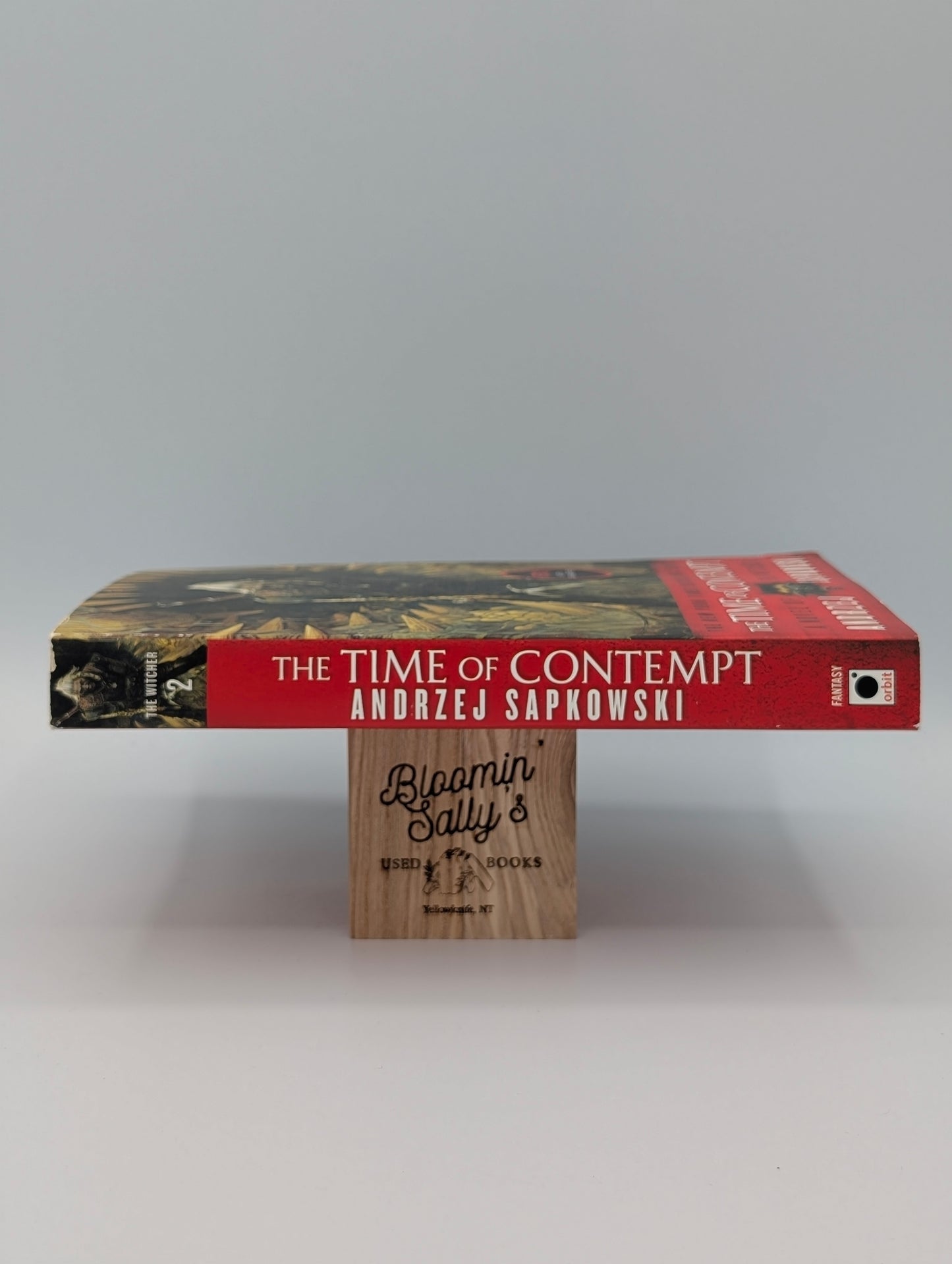 The Time of Contempt (The Witcher, 4)
