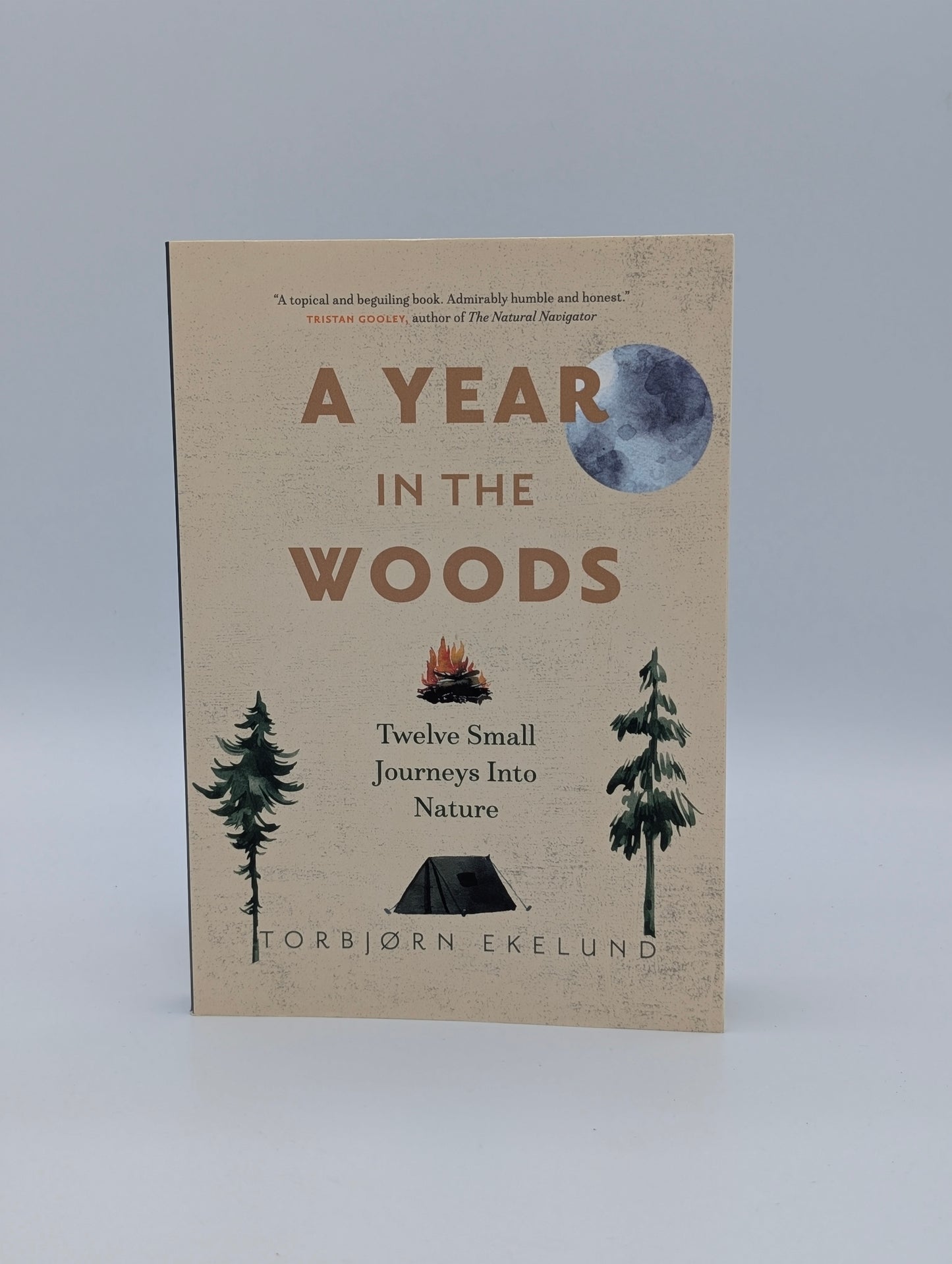 A Year in the Woods: Twelve Small Journeys into Nature