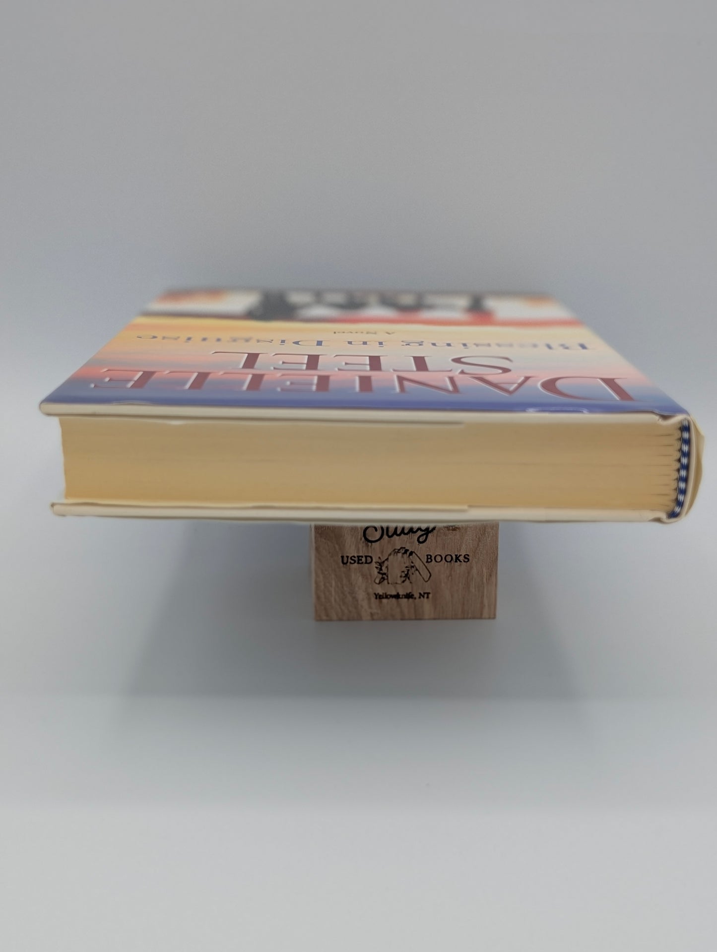 Blessing in Disguise: A Novel