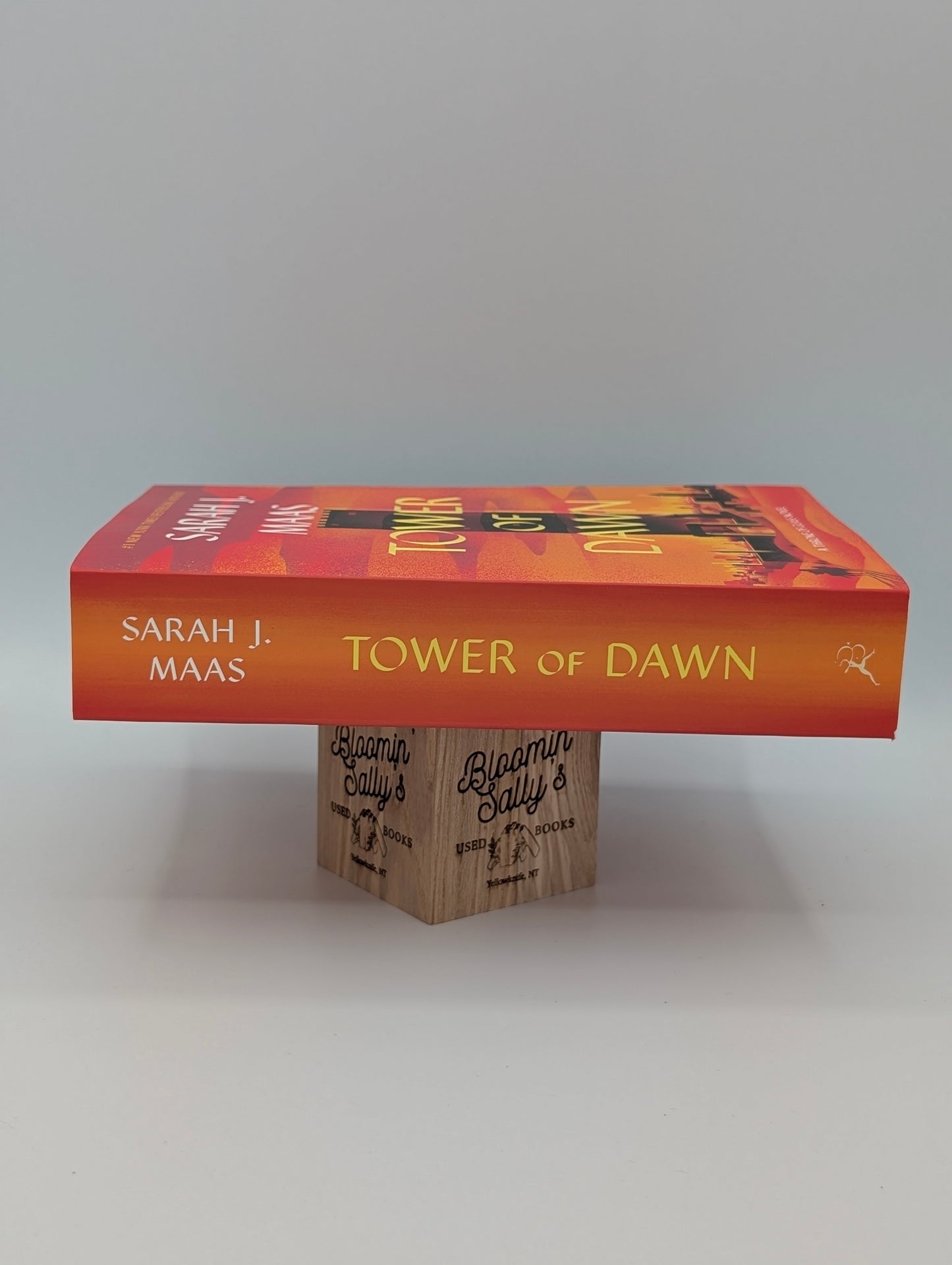 Tower of Dawn (Throne of Glass, 6)