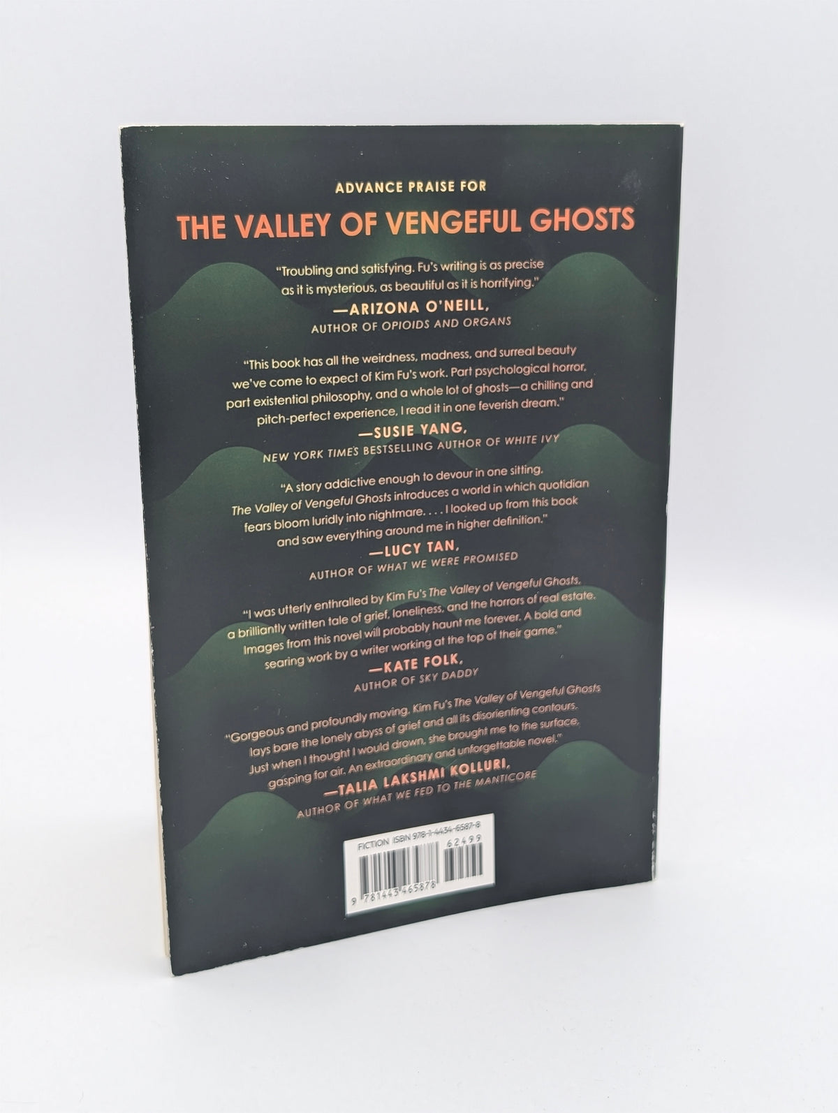 The Valley of Vengeful Ghosts: A Novel