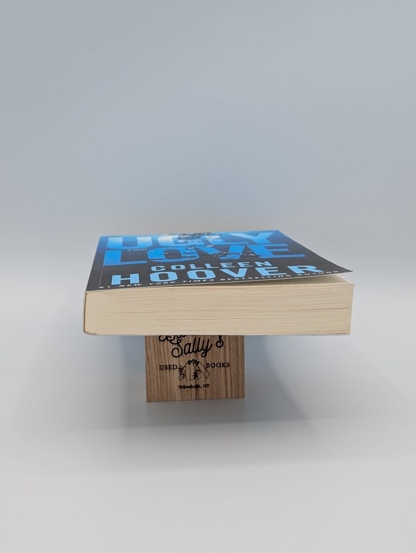 Ugly Love: A Novel