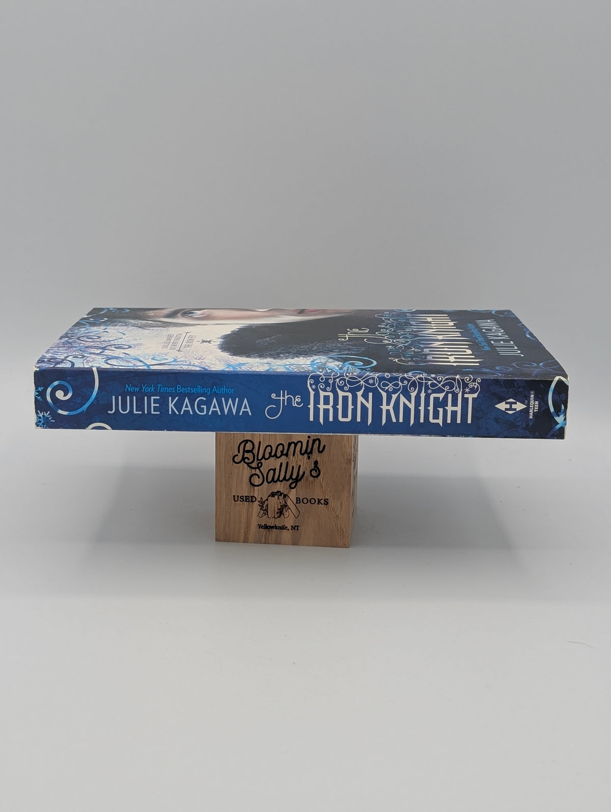 The Iron Knight (Iron Fey)
