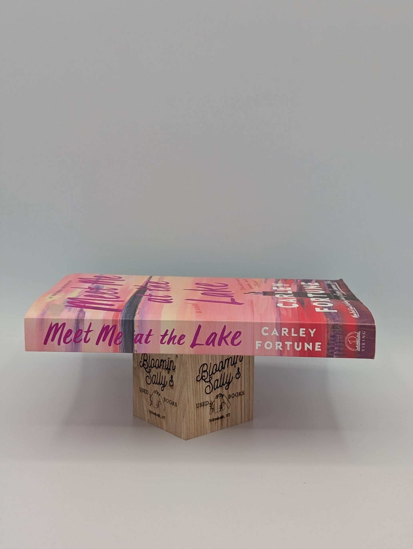 Meet Me at the Lake