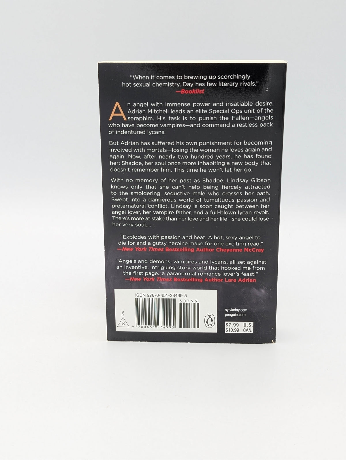 A Touch of Crimson: A Renegade Angels Novel