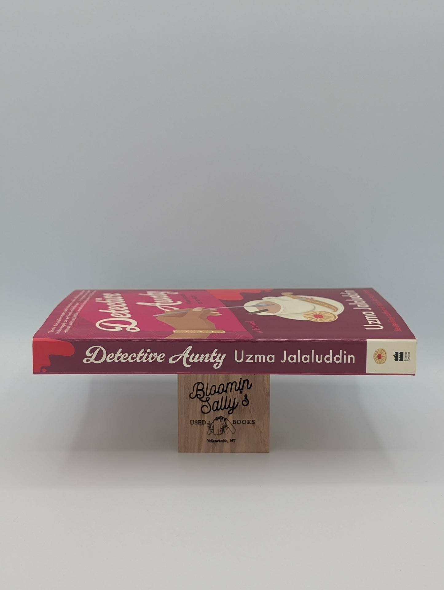 Detective Aunty: A Novel (Kausar Khan Investigates, 1)