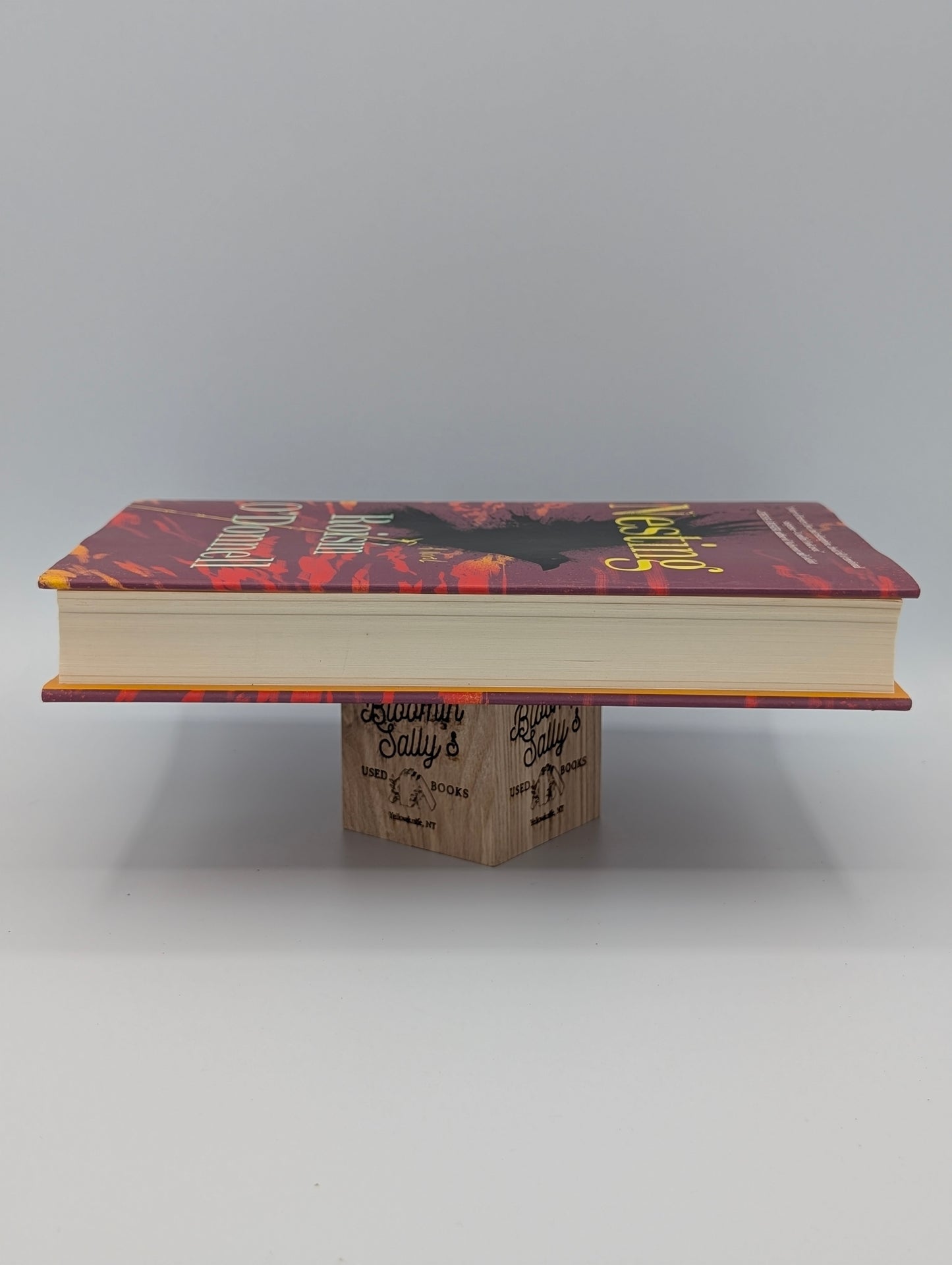 Nesting: A Novel