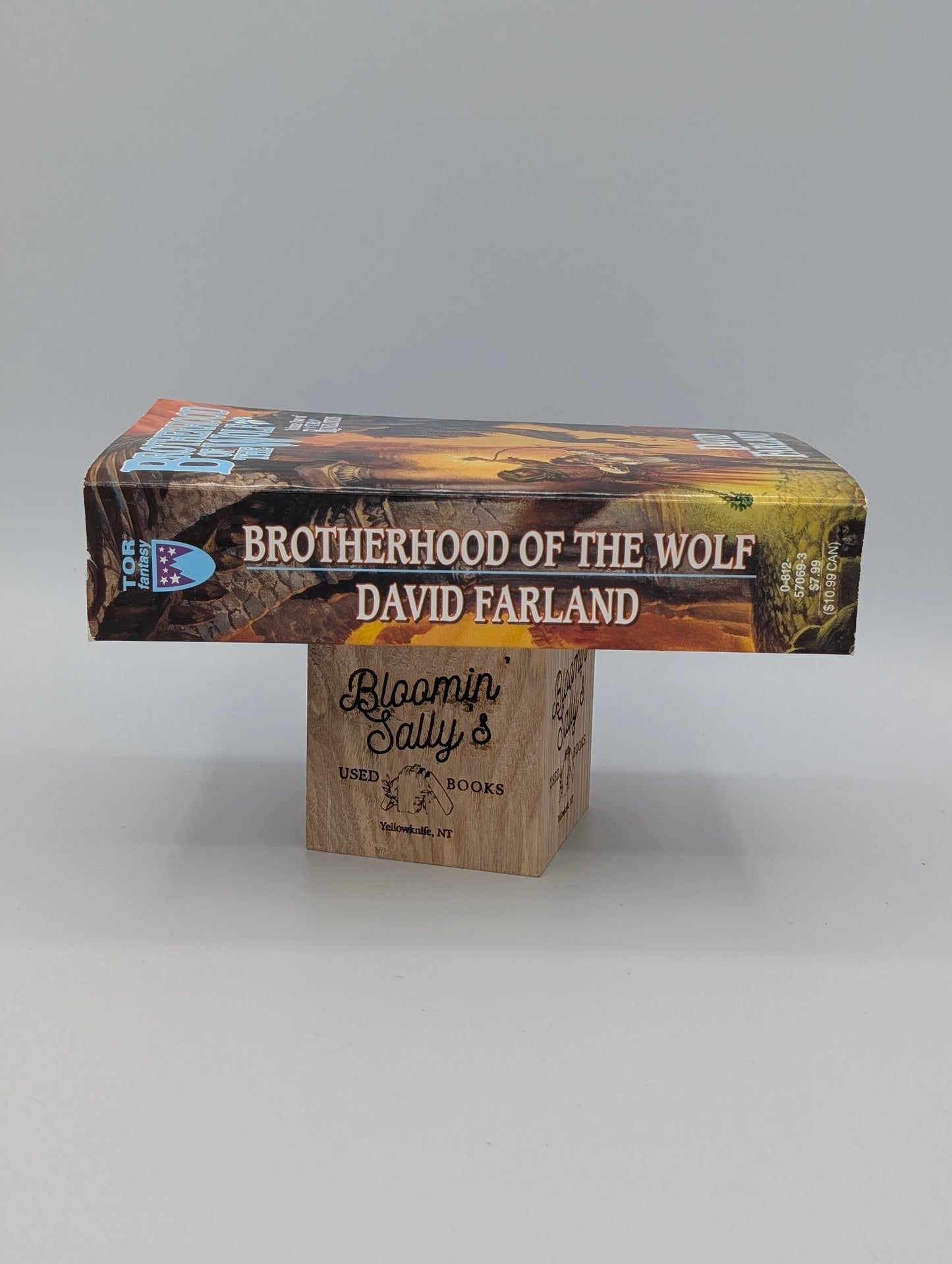 Brotherhood of the Wolf (The Runelords, Book Two)