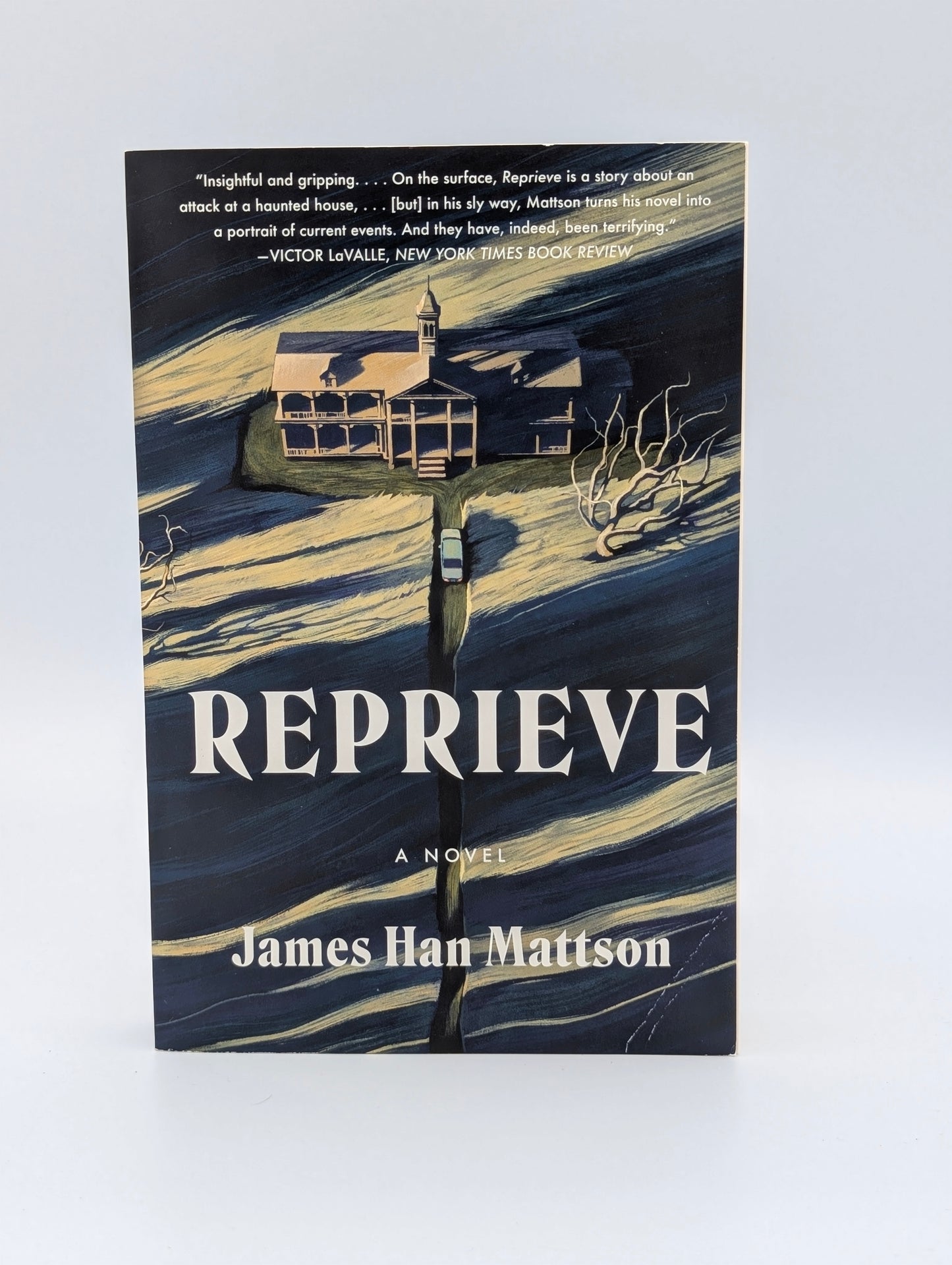 Reprieve: A Novel