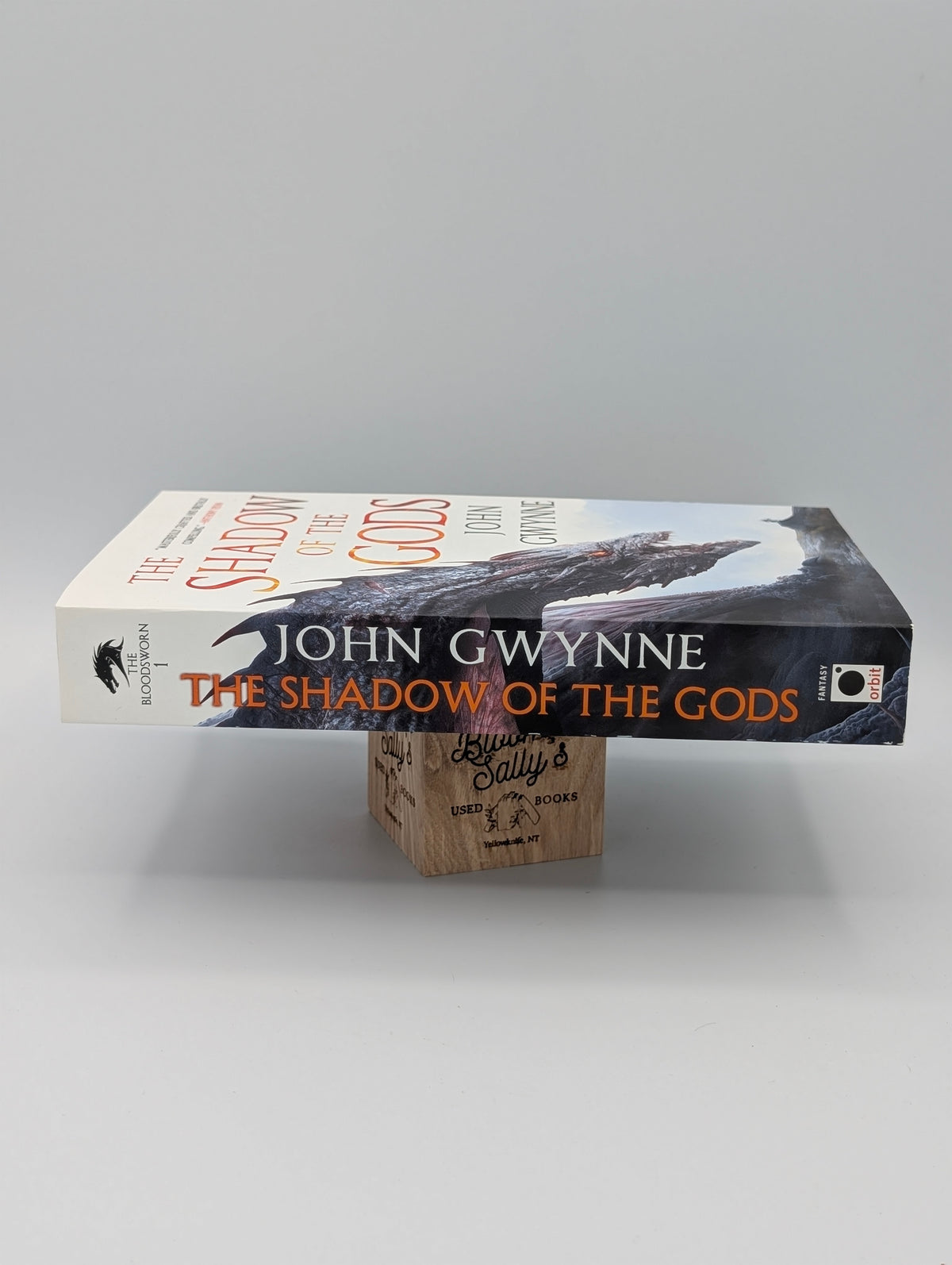 The Shadow of the Gods (The Bloodsworn Trilogy, 1)