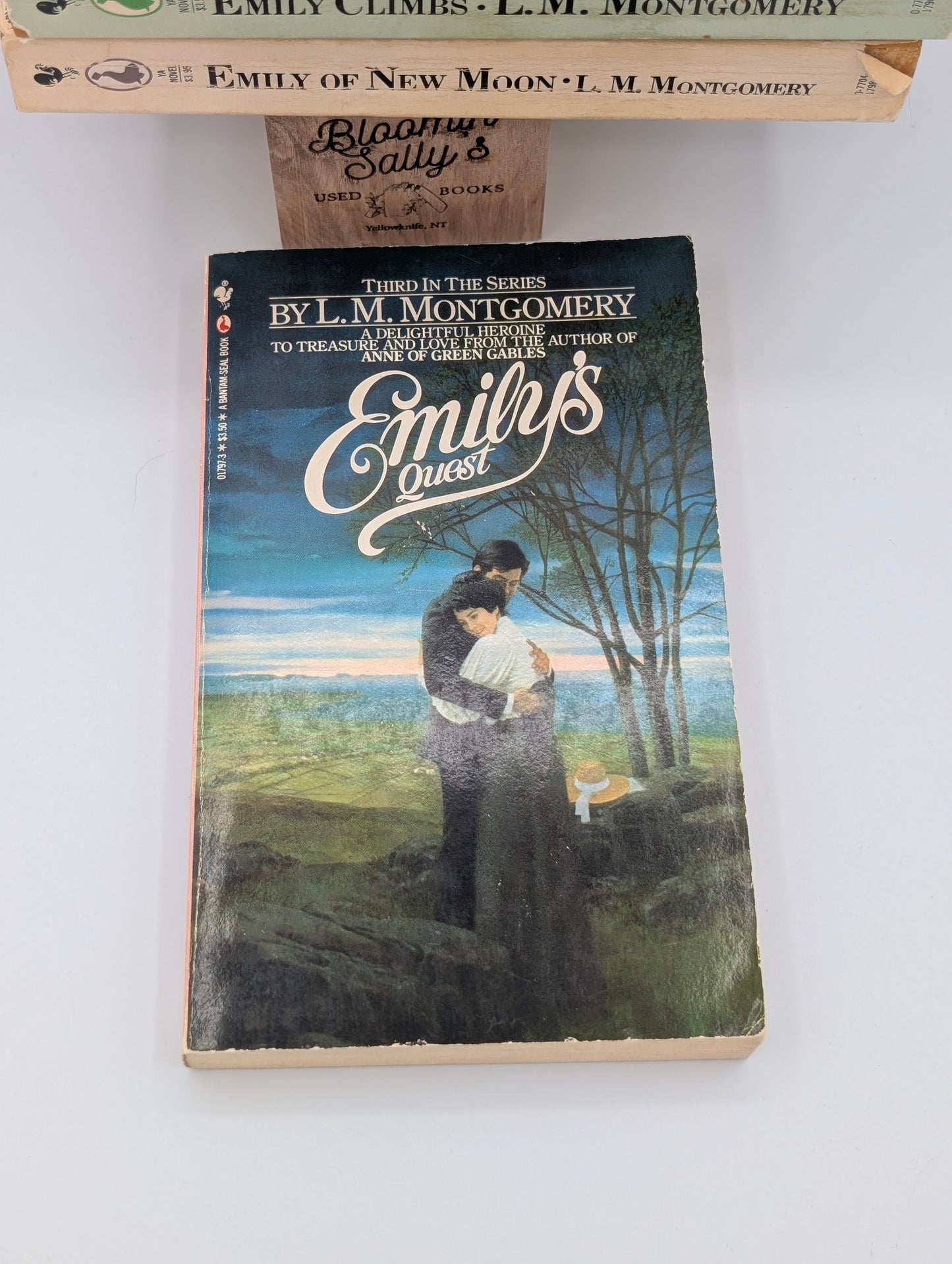 Emily of New Moon Bundle