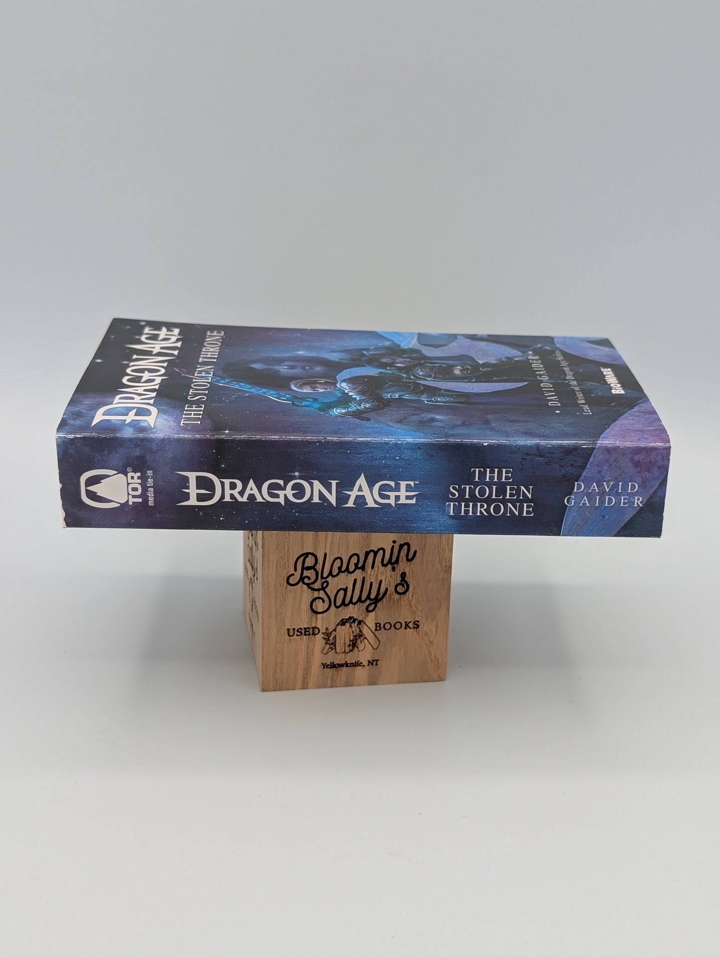 Dragon Age: The Stolen Throne