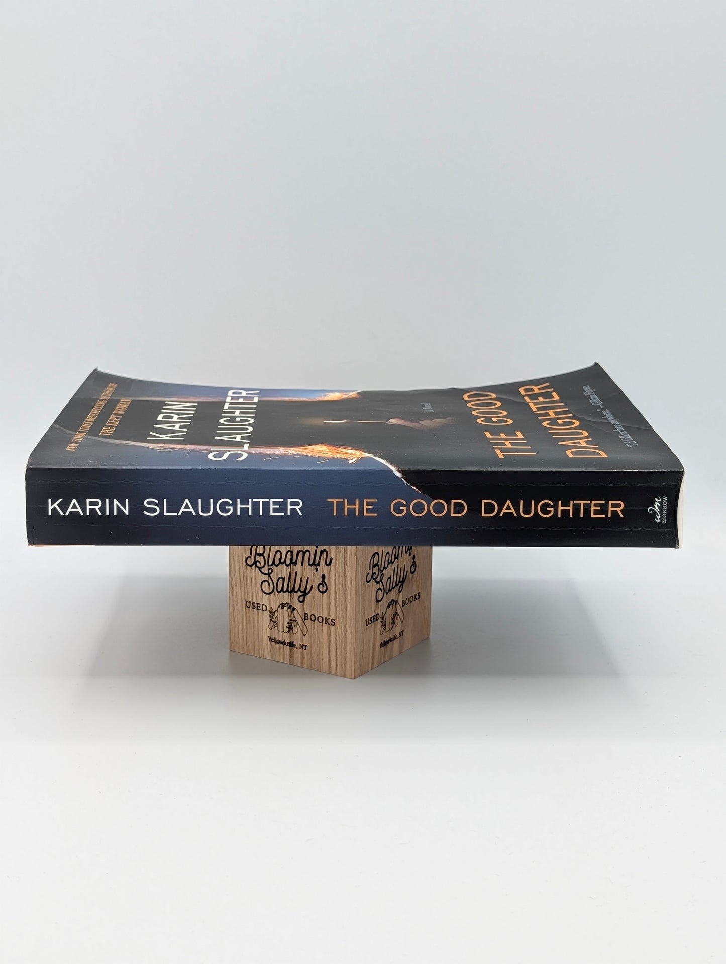 The Good Daughter: A Novel