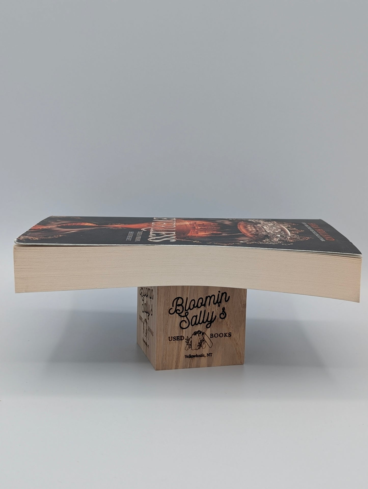 Everless: A New York Times Bestselling YA Fantasy Romance of Time and Dangerous Secrets