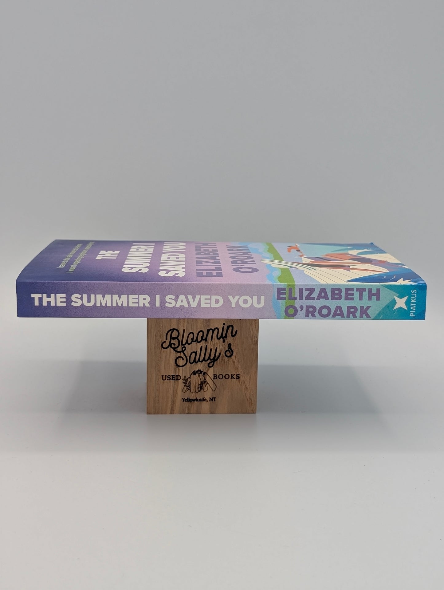 The Summer I Saved You