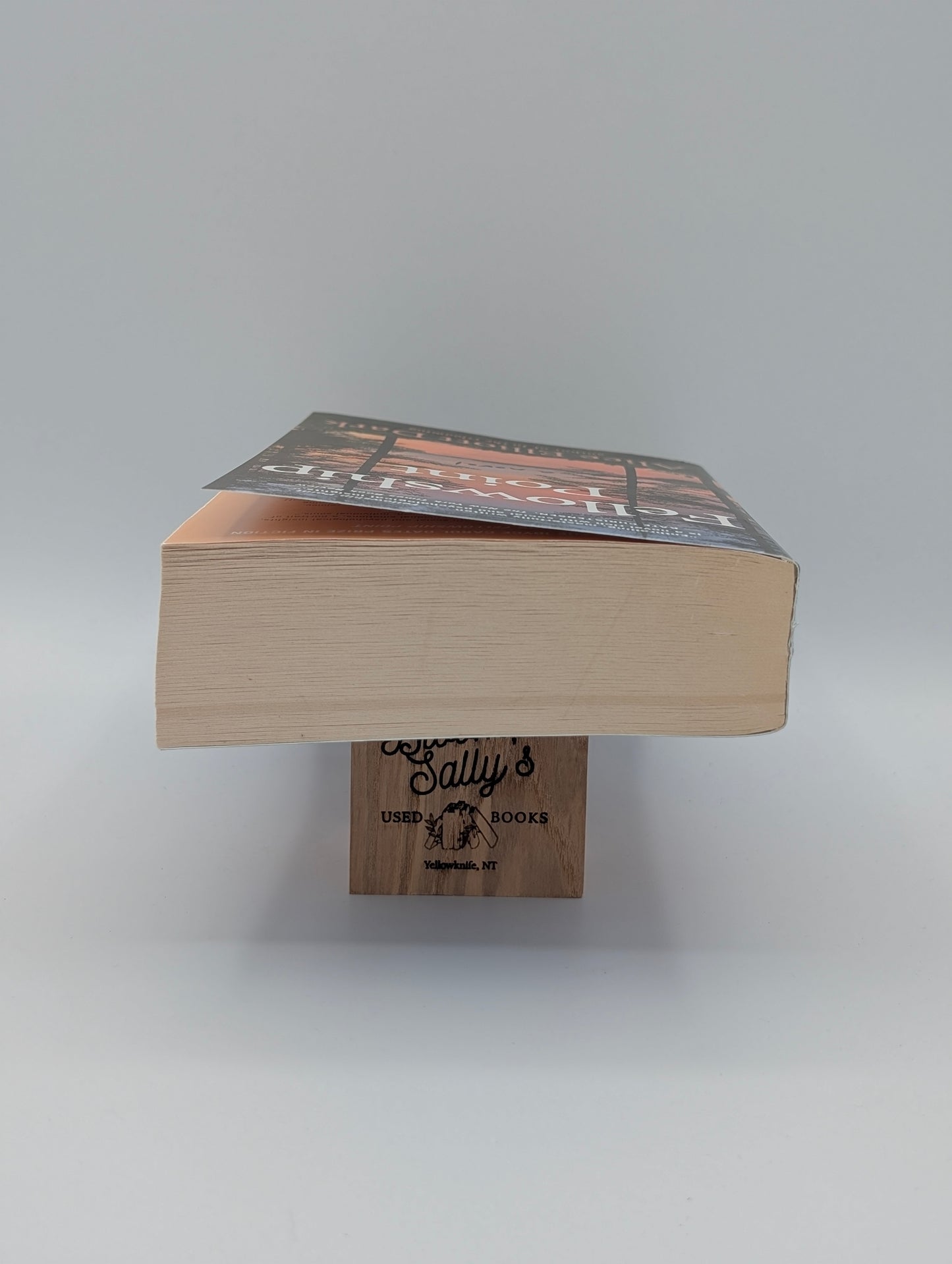 Fellowship Point: A Novel