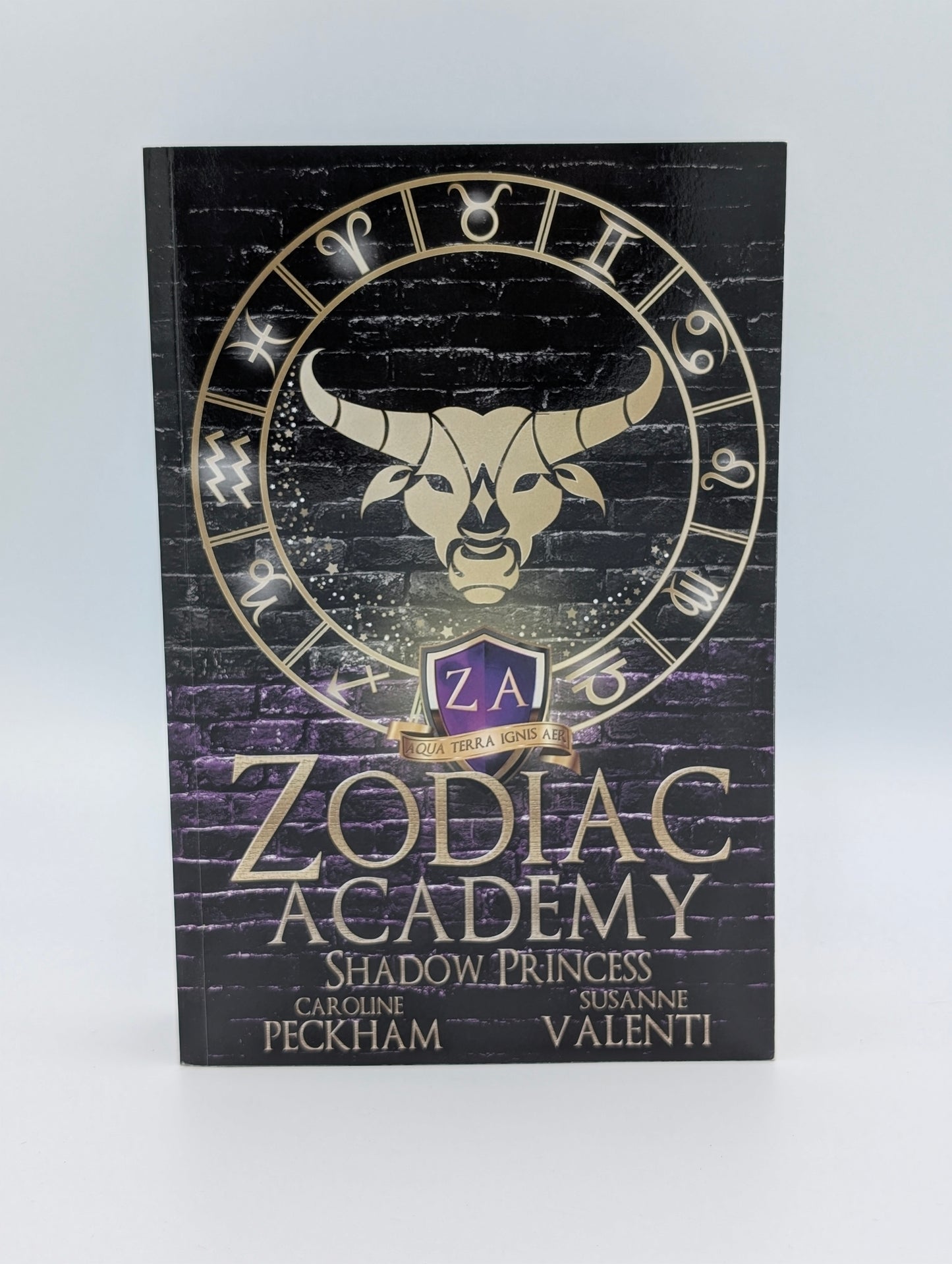 Zodiac Academy 4: Shadow Princess