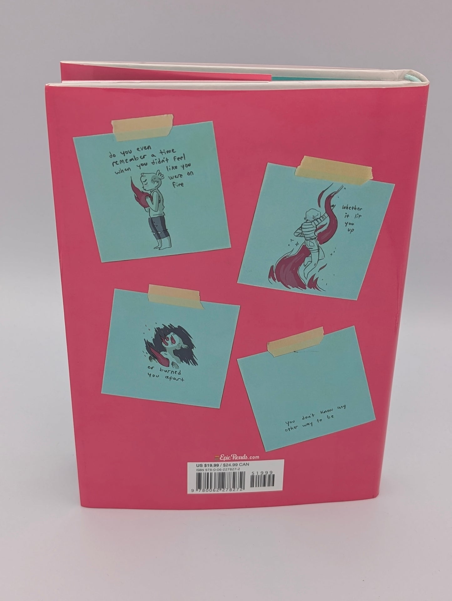 The Fire Never Goes Out: A Memoir in Pictures, A Graphic Memoir