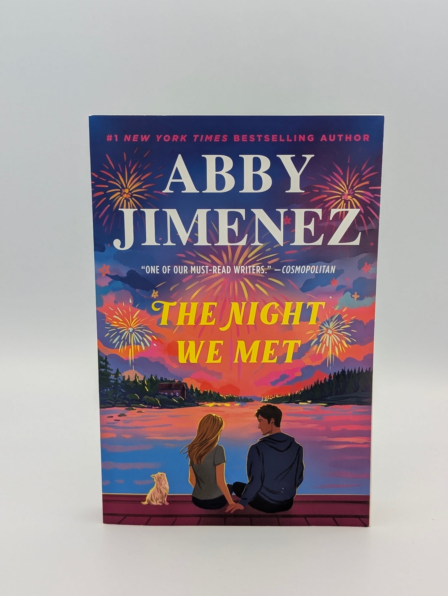 The Night We Met