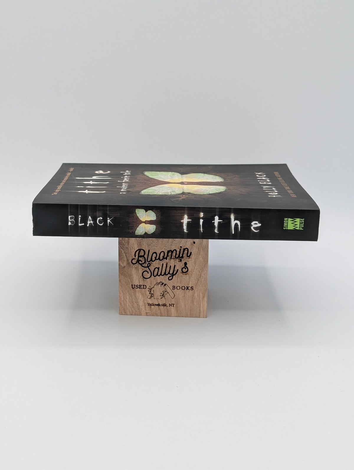 Tithe: A Modern Faerie Tale (Modern Faerie Tales)