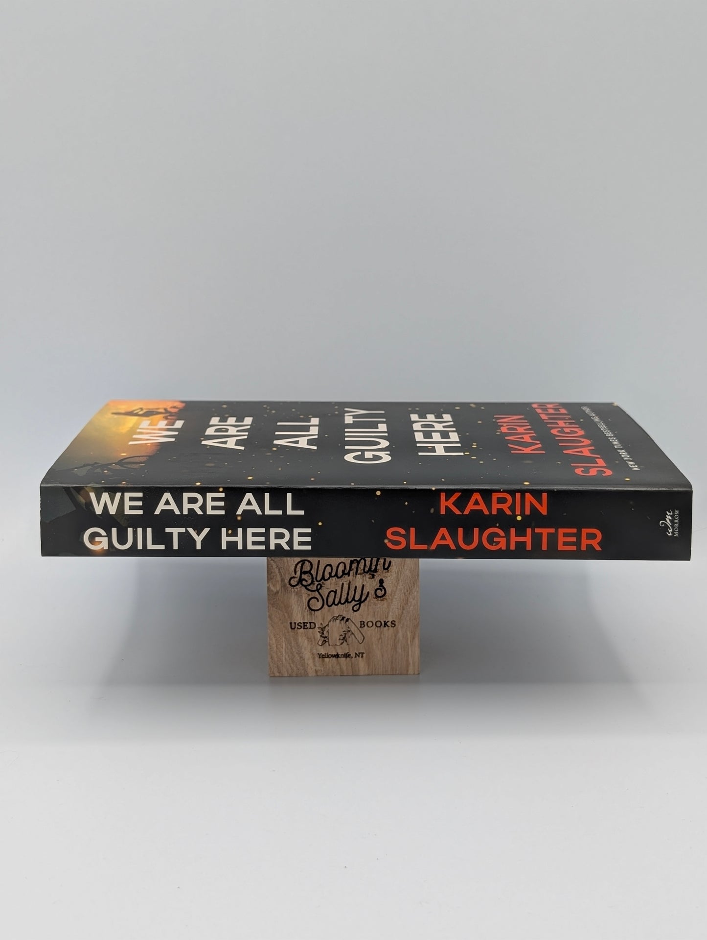 We Are All Guilty Here: A Chilling Psychological Thriller Where Secrets Lead to Deadly Consequences (A North Falls Thriller, 1)
